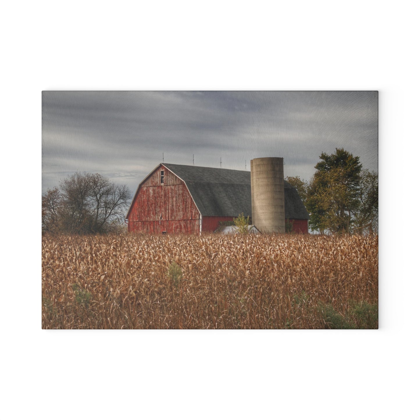 U R There Photography Shepard Road Red Rustic Farmhouse Tempered-Glass Cutting Board