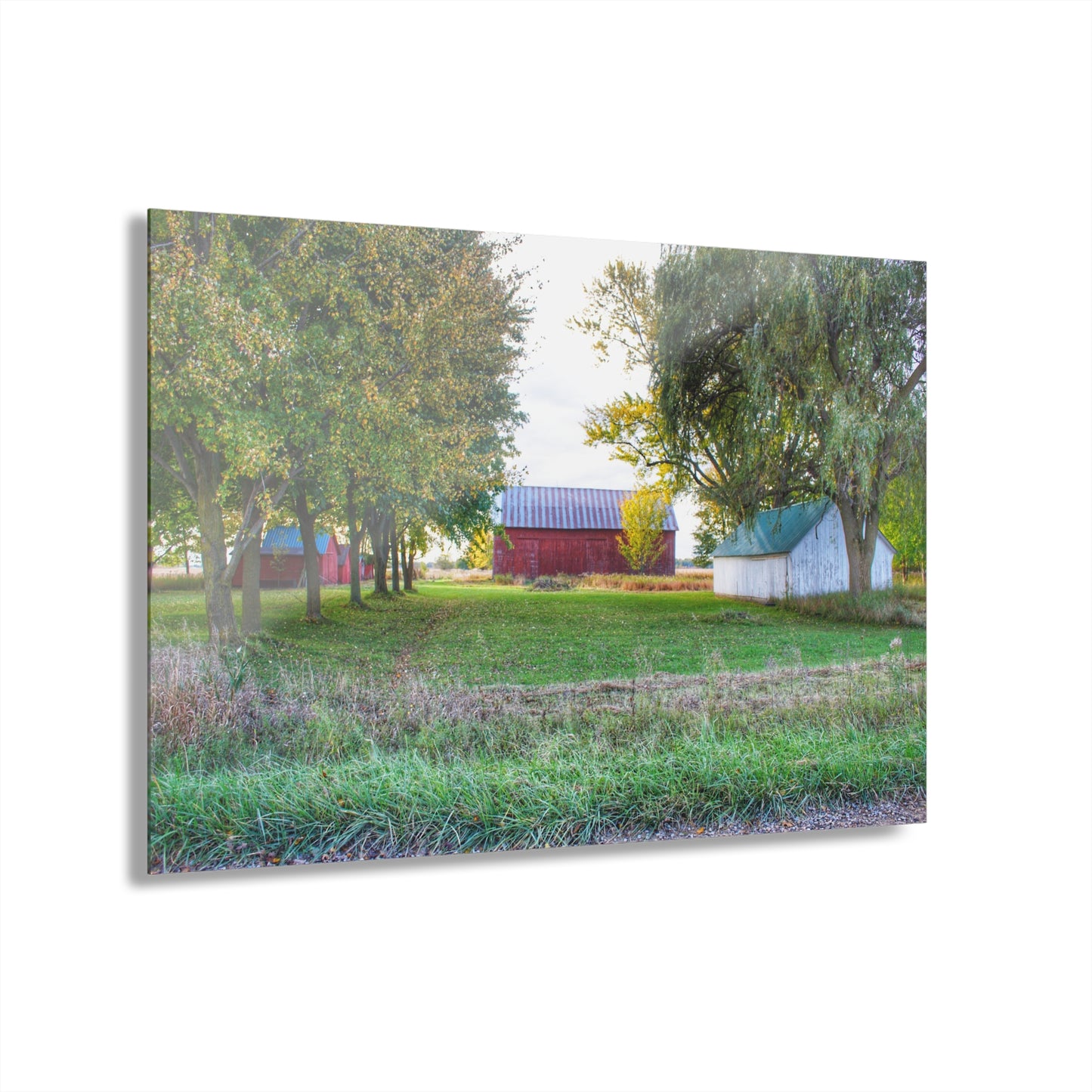 U R There Photography Wilcox Road Reds Rustic Farmhouse Acrylic Wall Print