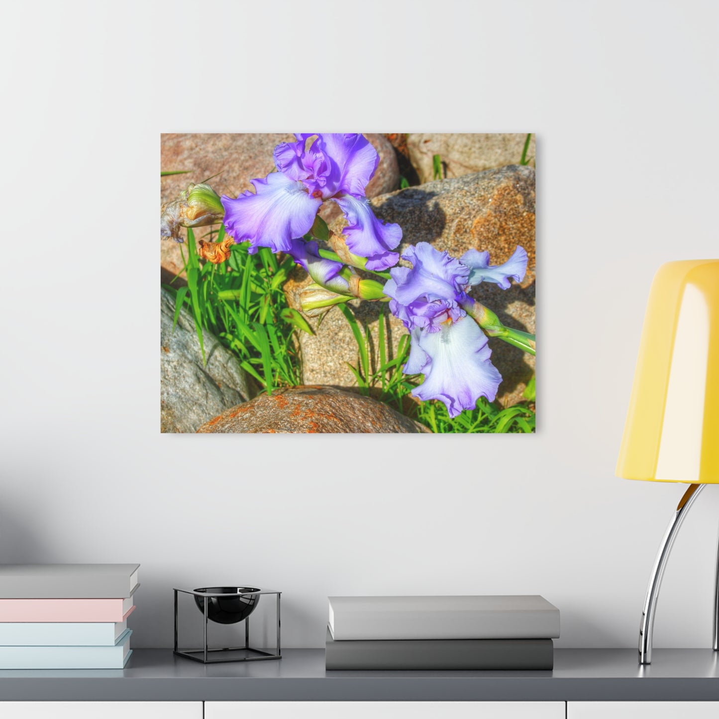 U R There Photography Saint Hugos Iris Rustic Farmhouse Acrylic Wall Print