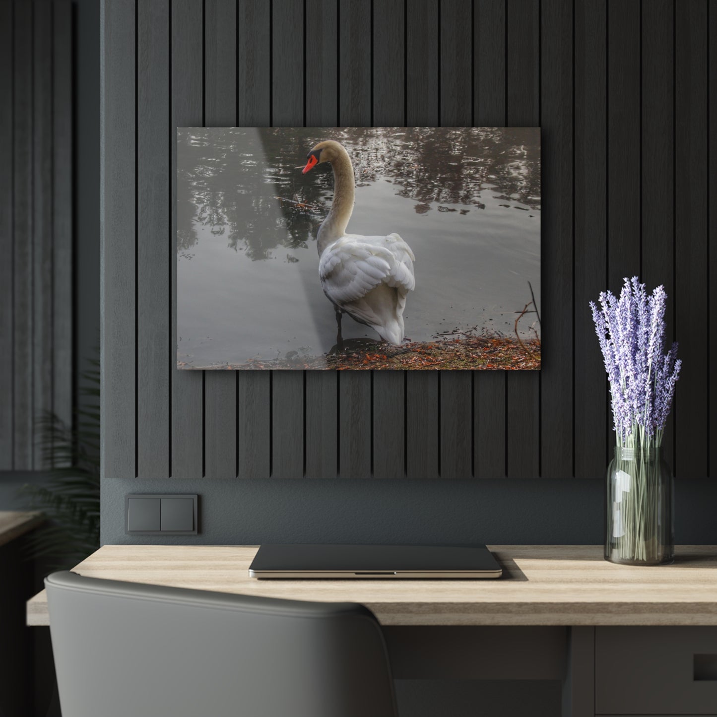 U R There Photography Swans of Duck Lake III Rustic Farmhouse Acrylic Wall Print