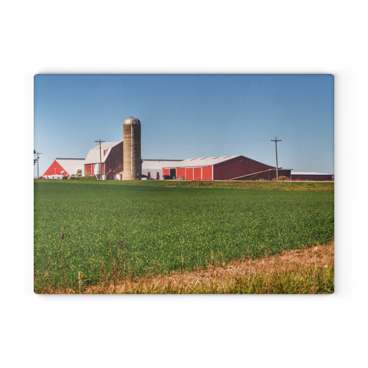 U R There Photography Pattison Road Farm Across the Field II Rustic Farmhouse Tempered-Glass Cutting Board
