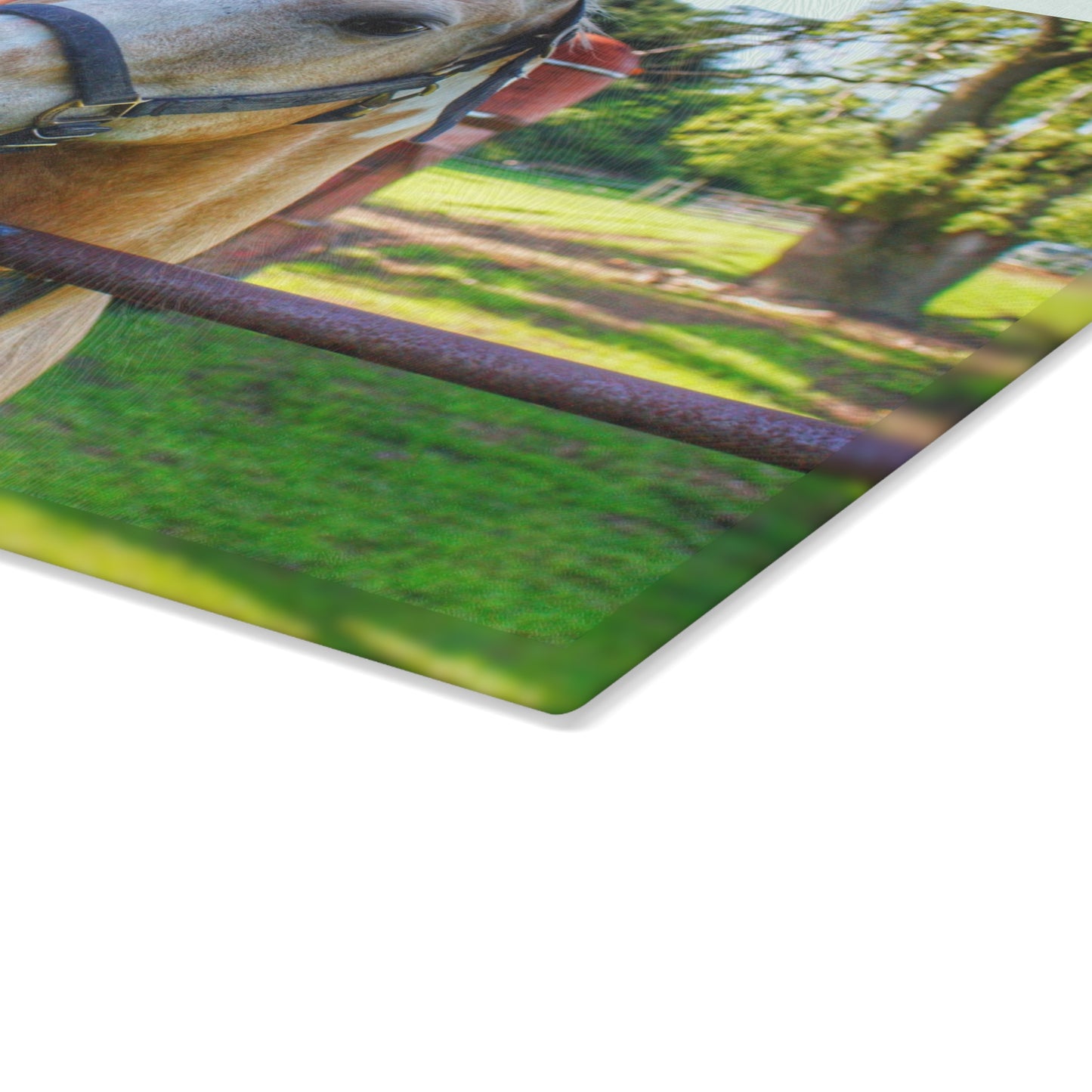 U R There Photography White Cream Mare of Hollenbeck Rustic Farmhouse Tempered-Glass Cutting Board