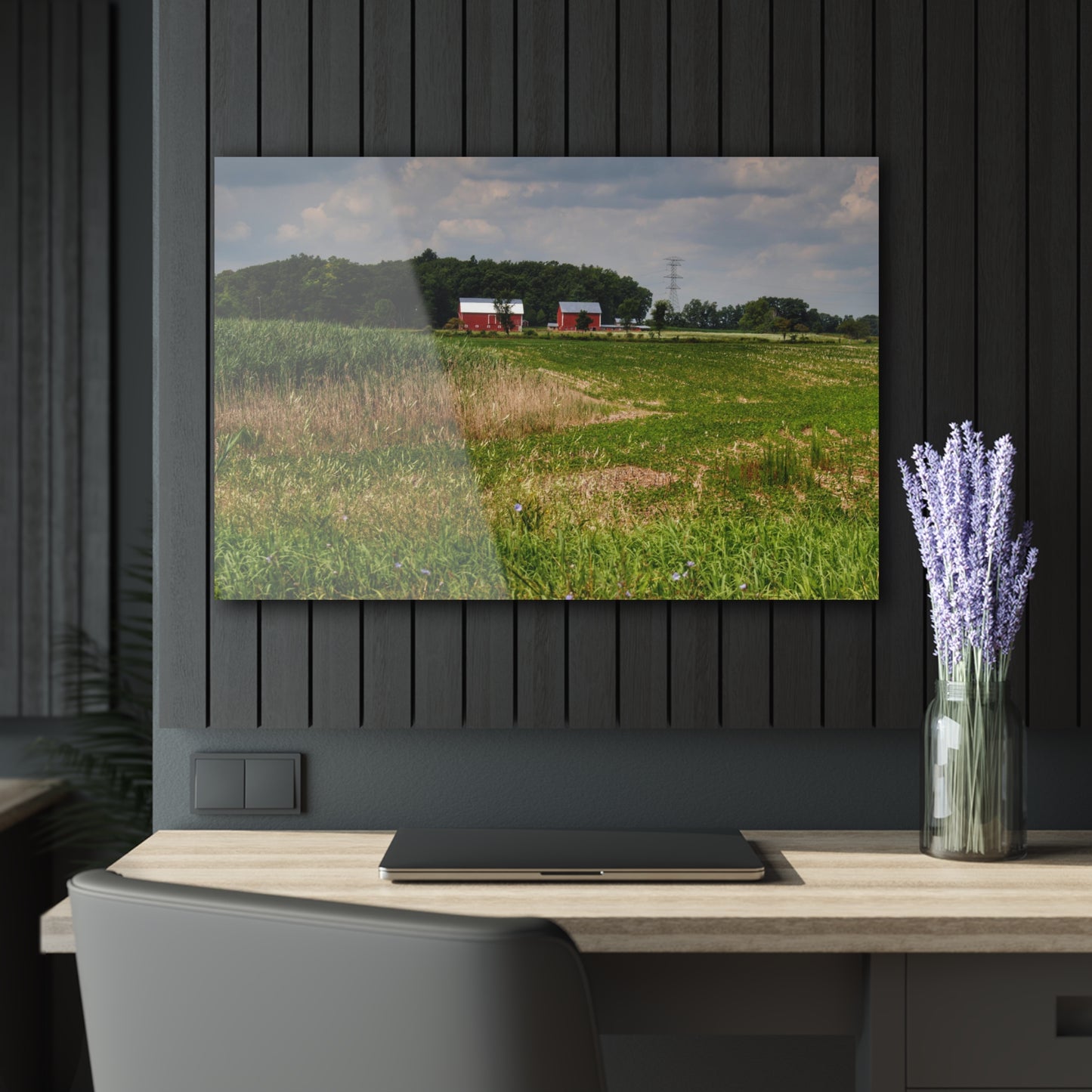 Rustic Farmhouse Wall Print Featuring Across the Field in Elba II