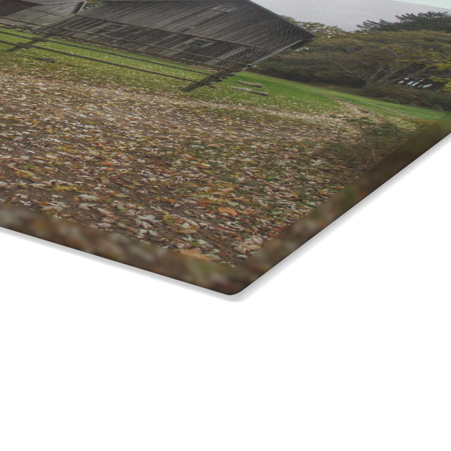 U R There Photography Wilder Road Greys II Rustic Farmhouse Tempered-Glass Cutting Board