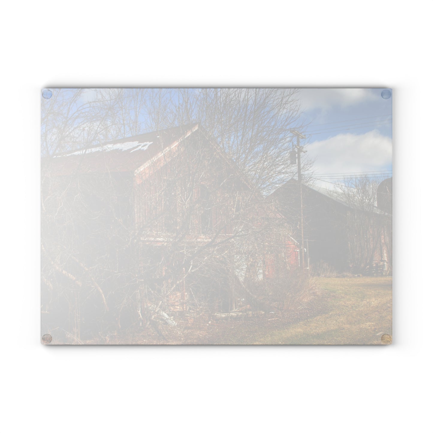 U R There Photography Buried Burnside Greys II Rustic Farmhouse Tempered-Glass Cutting Board