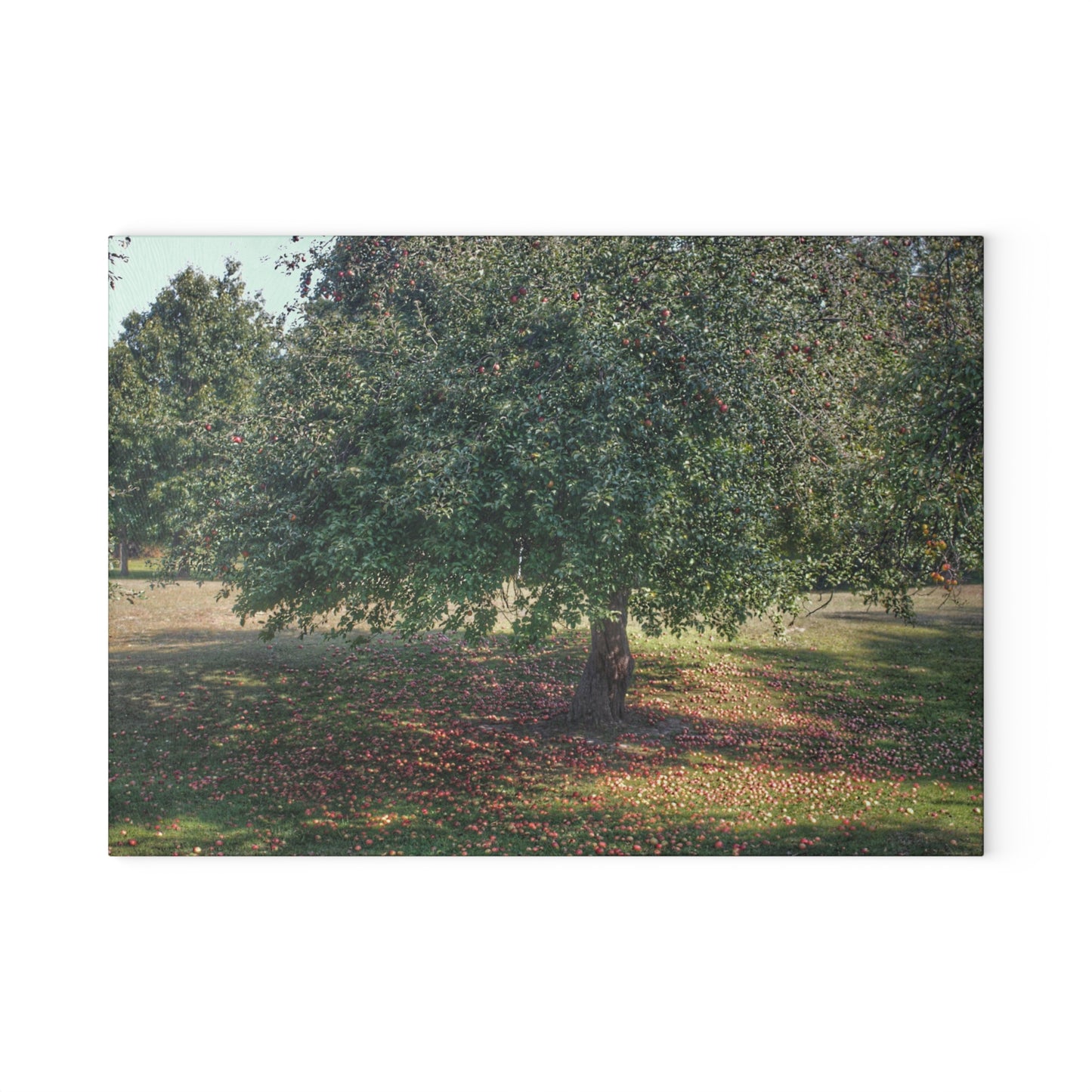 U R There Photography Apple Tree and Apples Rustic Farmhouse Tempered-Glass Cutting Board