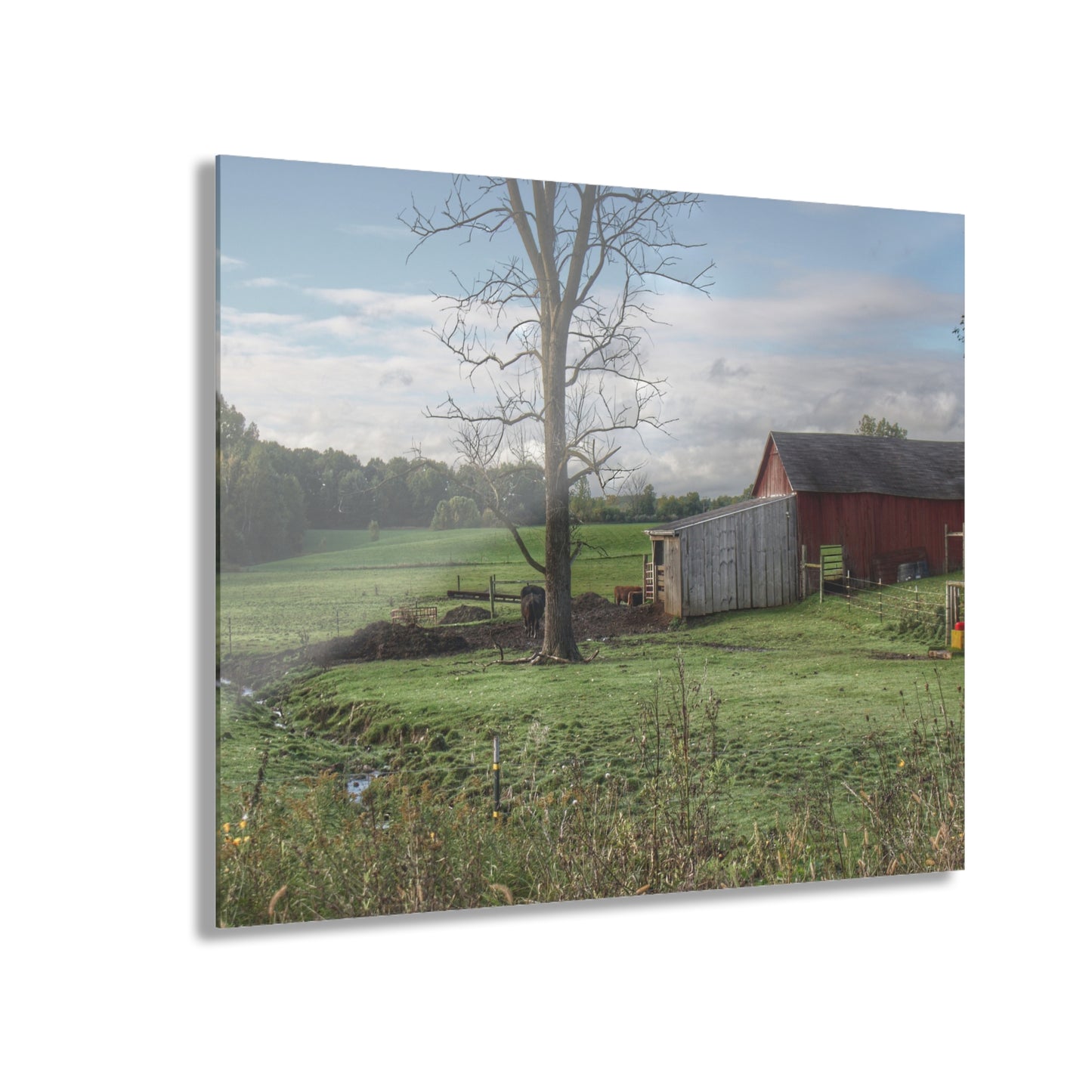 U R There Photography West Oregon Road Hidden Red III Rustic Farmhouse Acrylic Wall Print