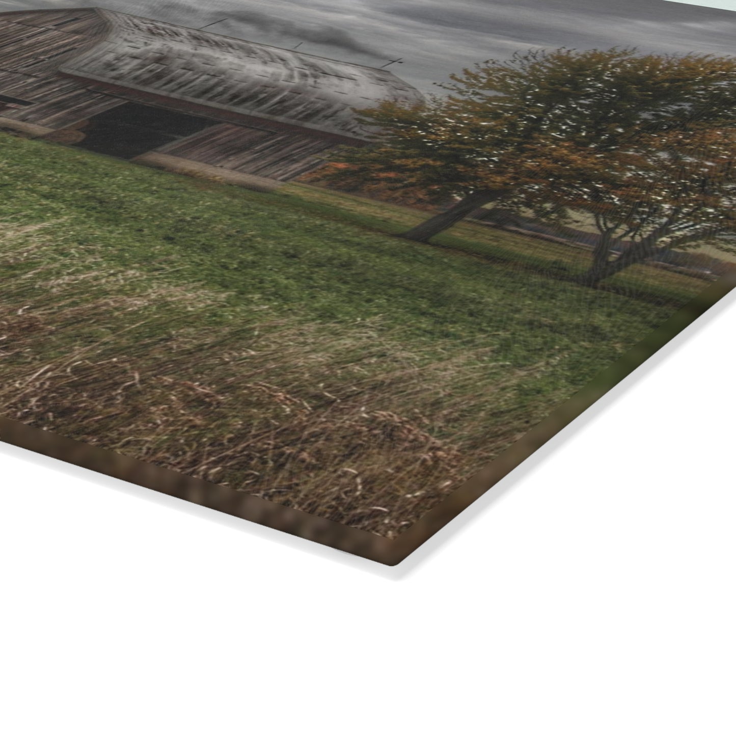 U R There Photography Bray Road Grey in the Fall Rustic Farmhouse Tempered-Glass Cutting Board