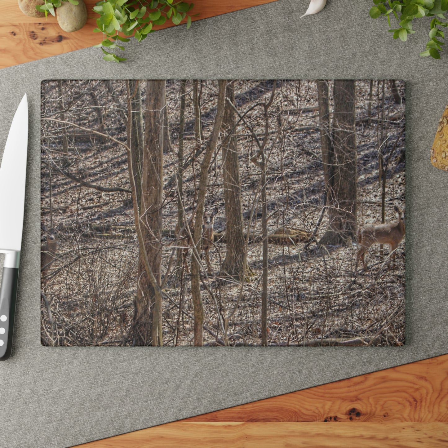 U R There Photography Three Does of Dryden Rustic Farmhouse Acrylic Analog Wall Clock