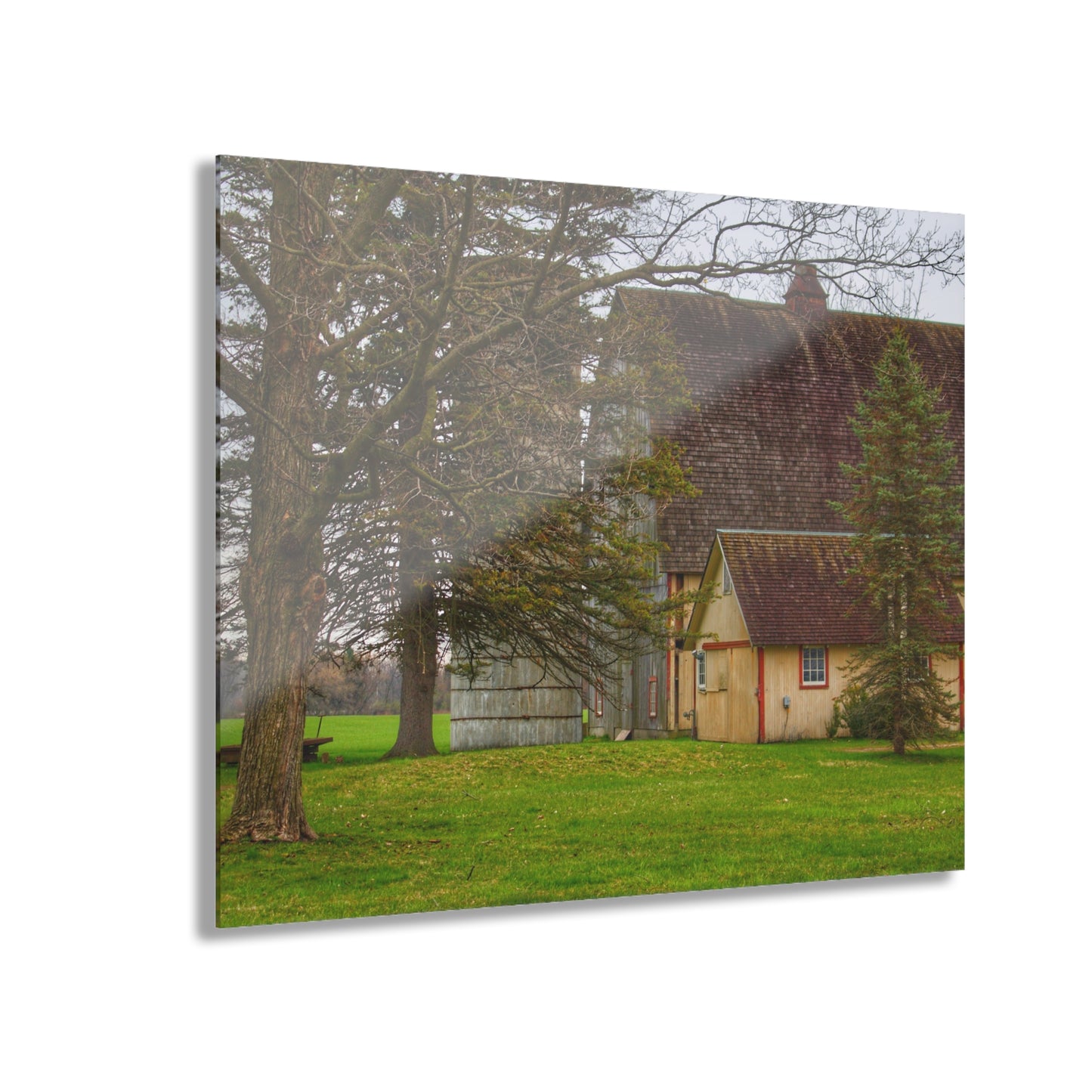 U R There Photography Romeo Van Dyke Grey Rustic Farmhouse Acrylic Wall Print