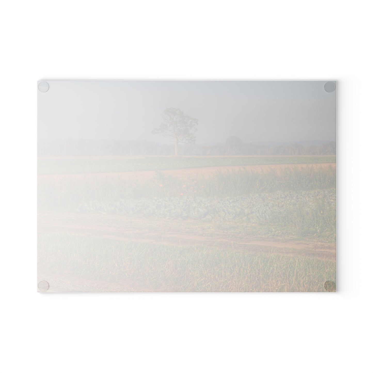U R There Photography Cabbage and Pumpkin Patch Rustic Farmhouse Tempered-Glass Cutting Board