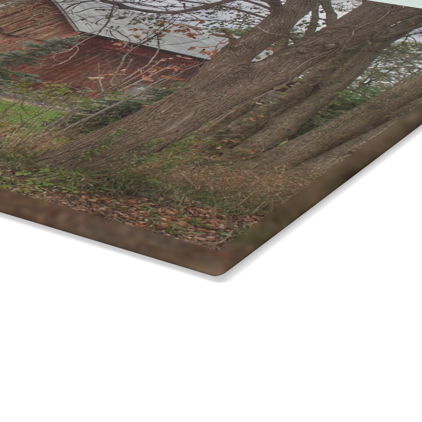 U R There Photography Big Fish Lake Road Red Rustic Farmhouse Tempered-Glass Cutting Board