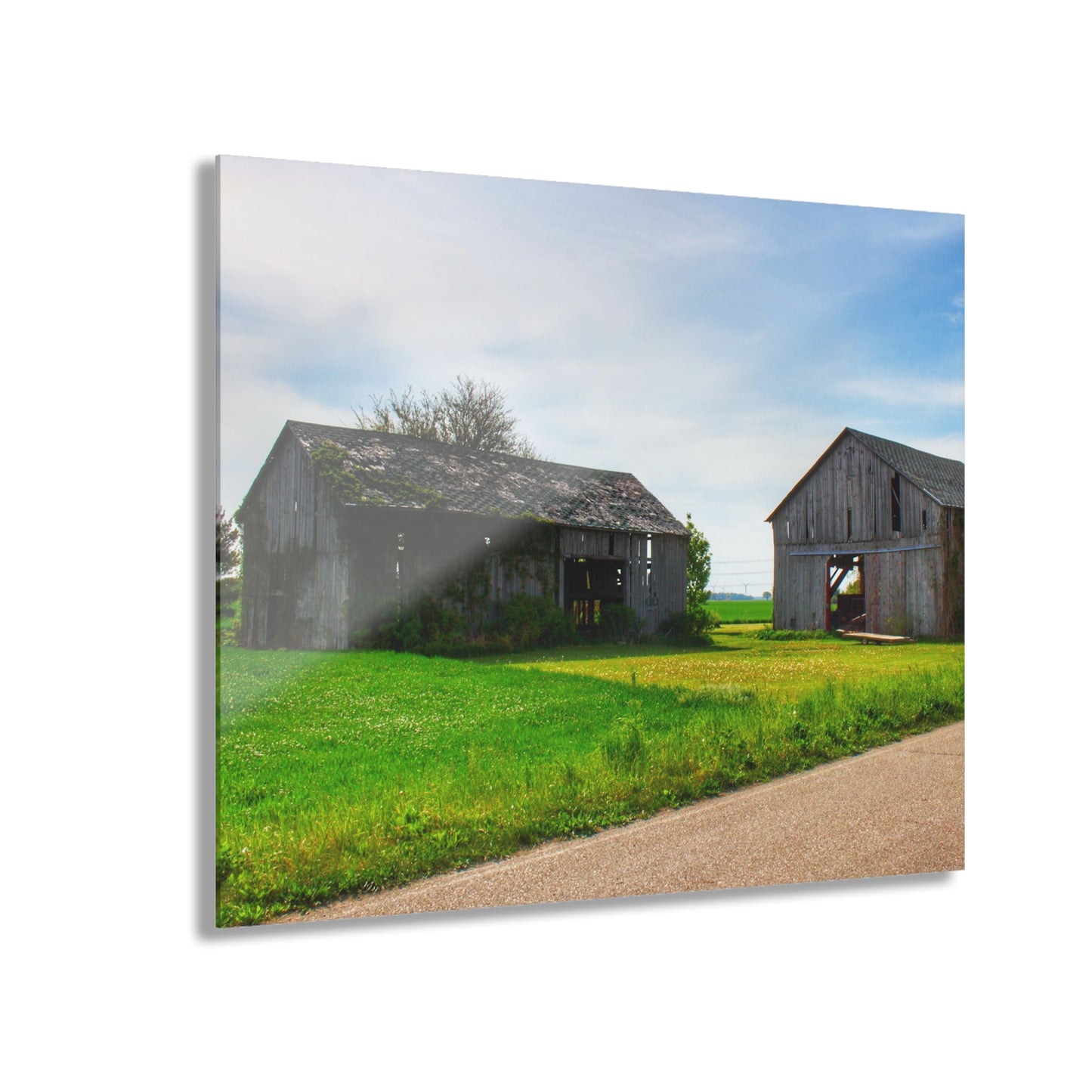 U R There Photography Caro Road Twin Greys I Rustic Farmhouse Acrylic Wall Print