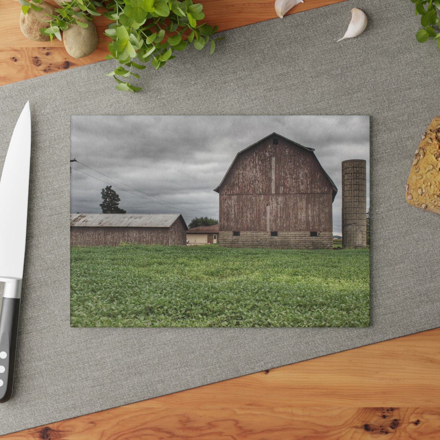 U R There Photography Van Geisen Road Grey Rustic Farmhouse Tempered-Glass Cutting Board