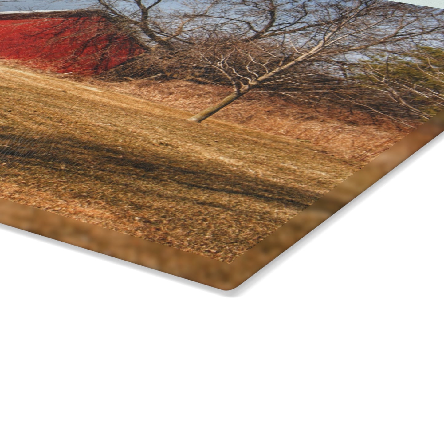 U R There Photography Romeo Plank Little Red Rustic Farmhouse Tempered-Glass Cutting Board