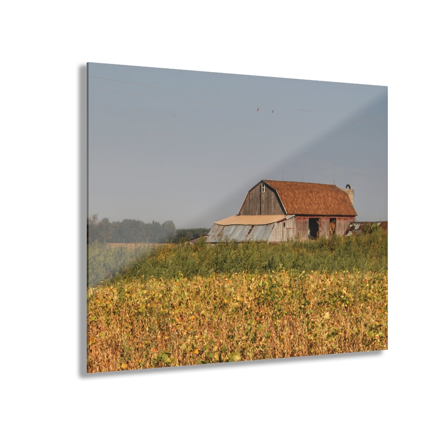 U R There Photography Slattery Road Saltbox Grey Rustic Farmhouse Acrylic Wall Print