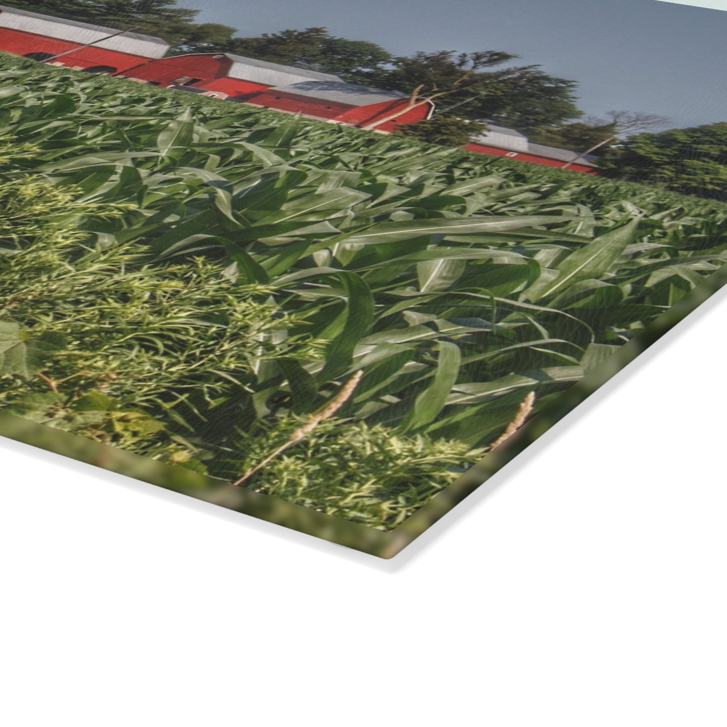 U R There Photography Shoemaker Road Reds Beyond the Corn Rustic Farmhouse Tempered-Glass Cutting Board