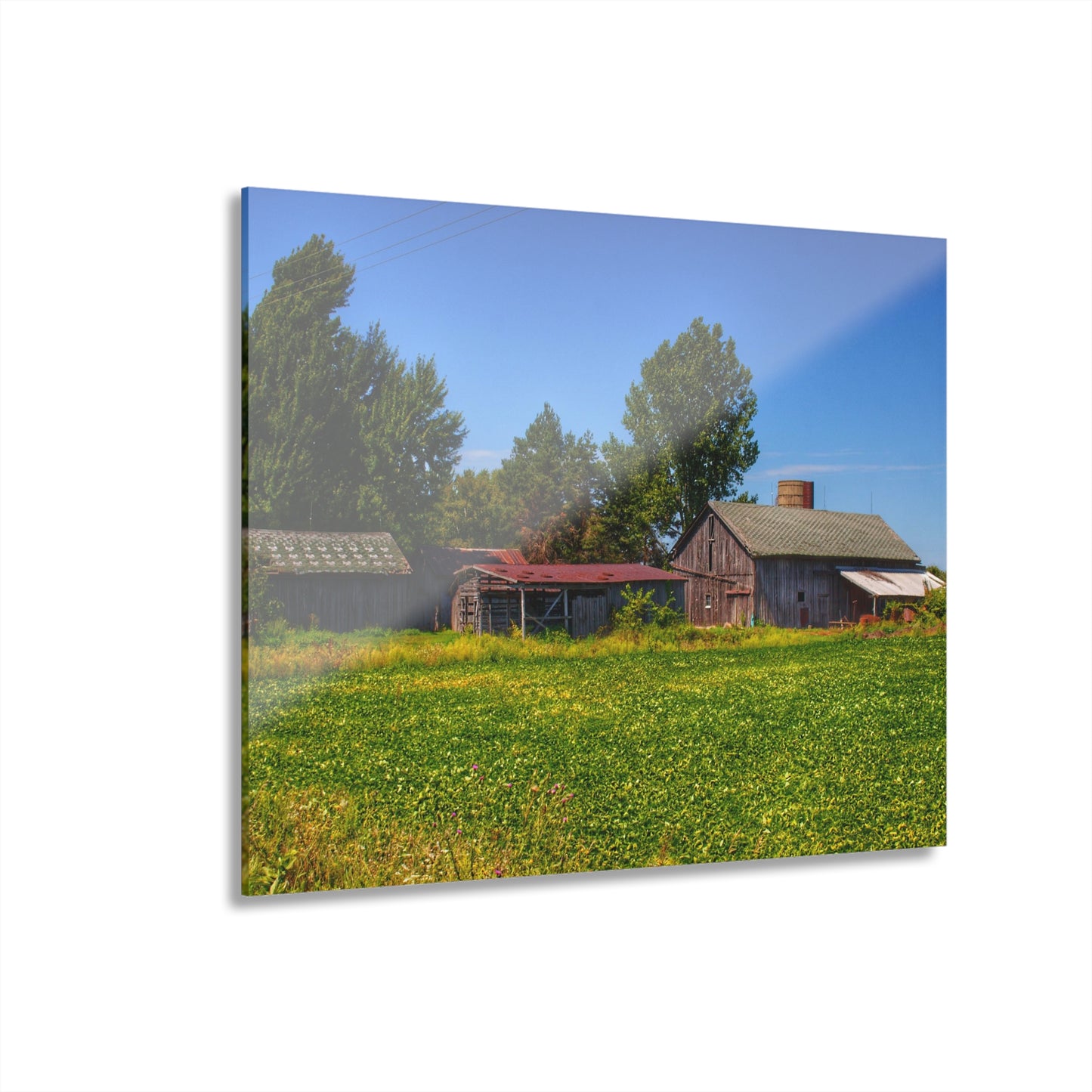 U R There Photography Birch Run Road Greys I Rustic Farmhouse Acrylic Wall Print
