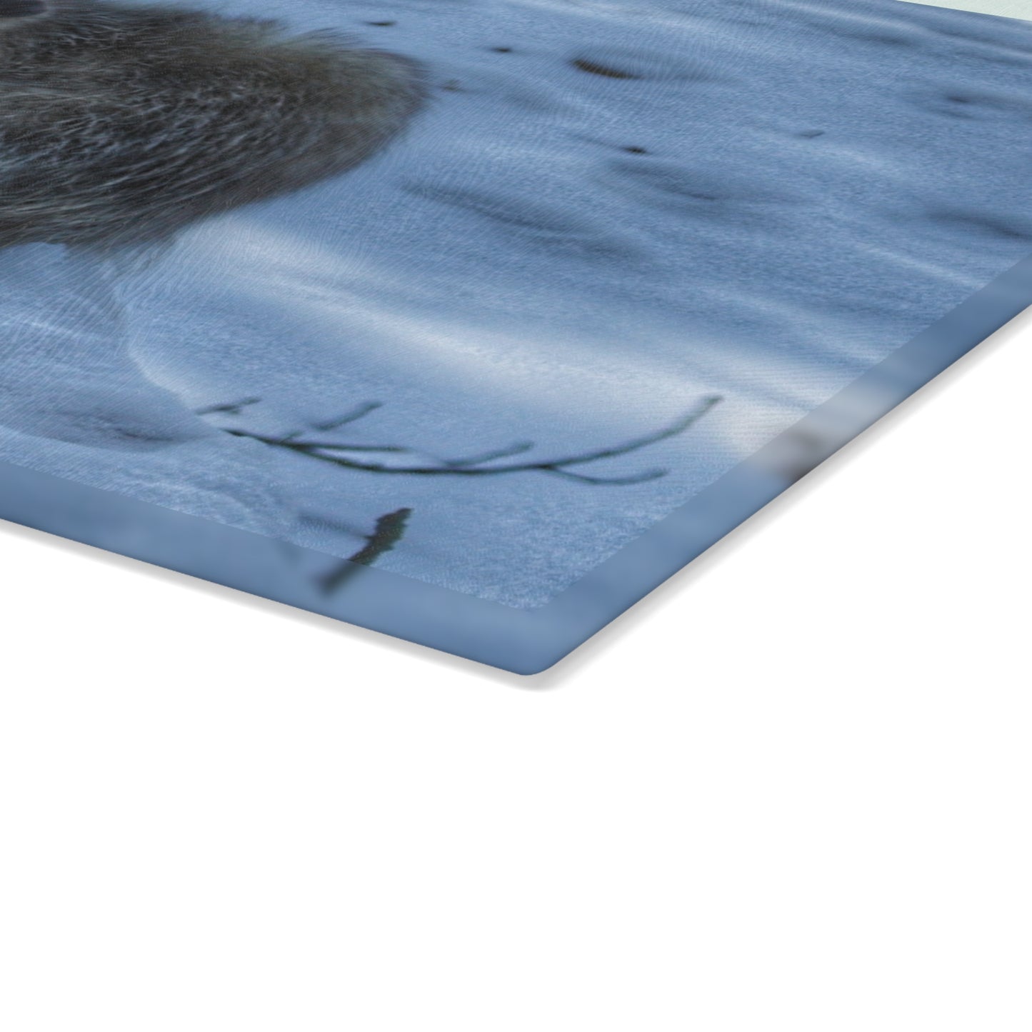 U R There Photography Sutton Road Possum Rustic Farmhouse Tempered-Glass Cutting Board
