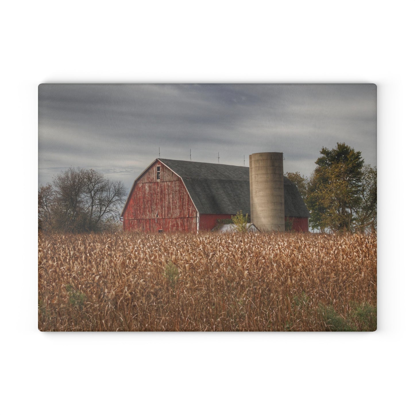 U R There Photography Shepard Road Red Rustic Farmhouse Tempered-Glass Cutting Board