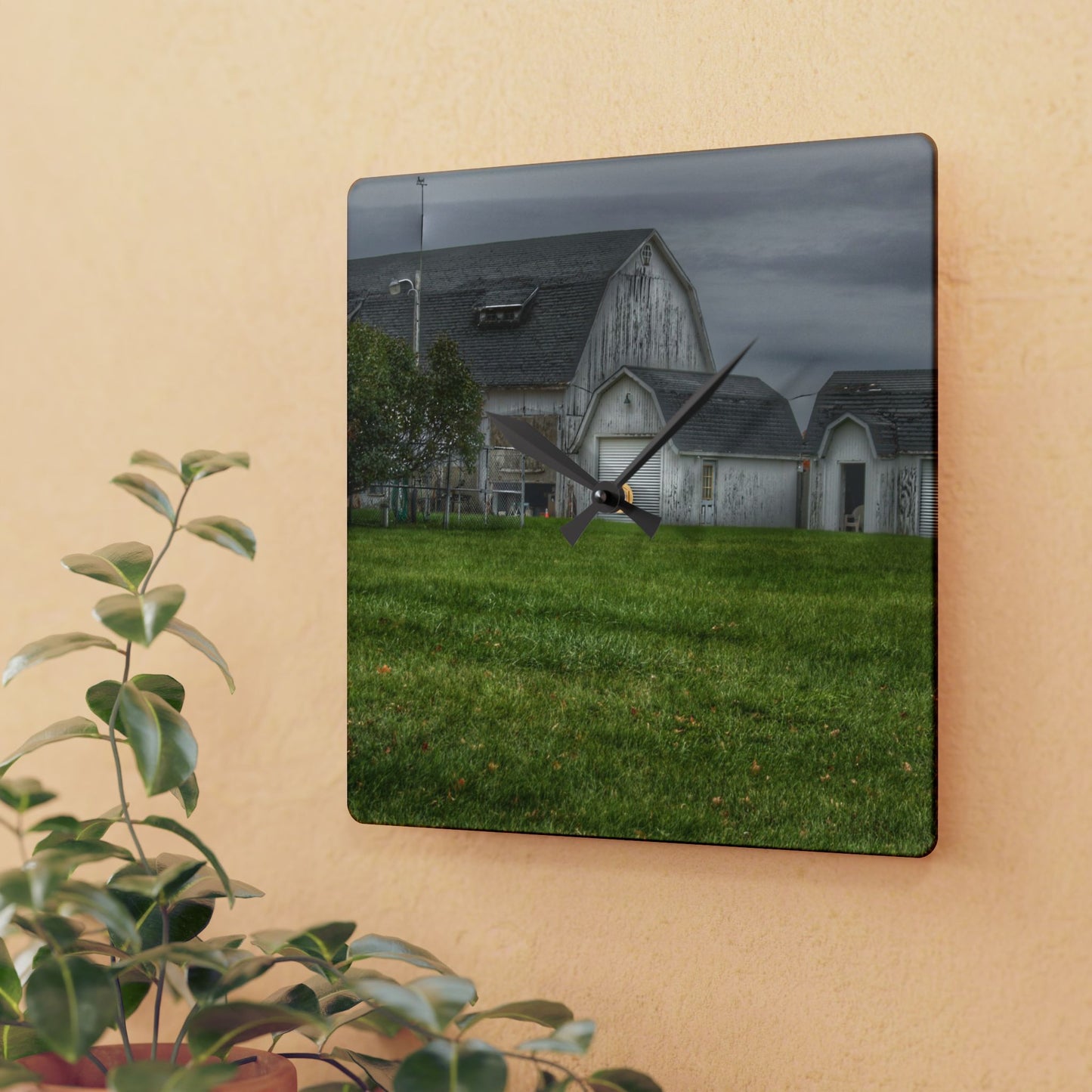 U R There Photography Lippincott Whites Rustic Farmhouse Acrylic Analog Wall Clock