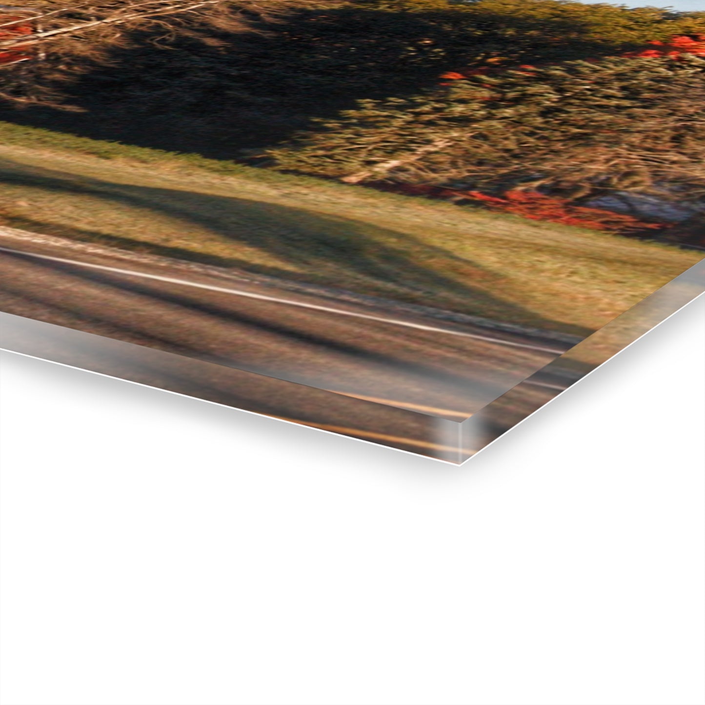 U R There Photography Tucked on Treasurer Road Rustic Farmhouse Acrylic Wall Print