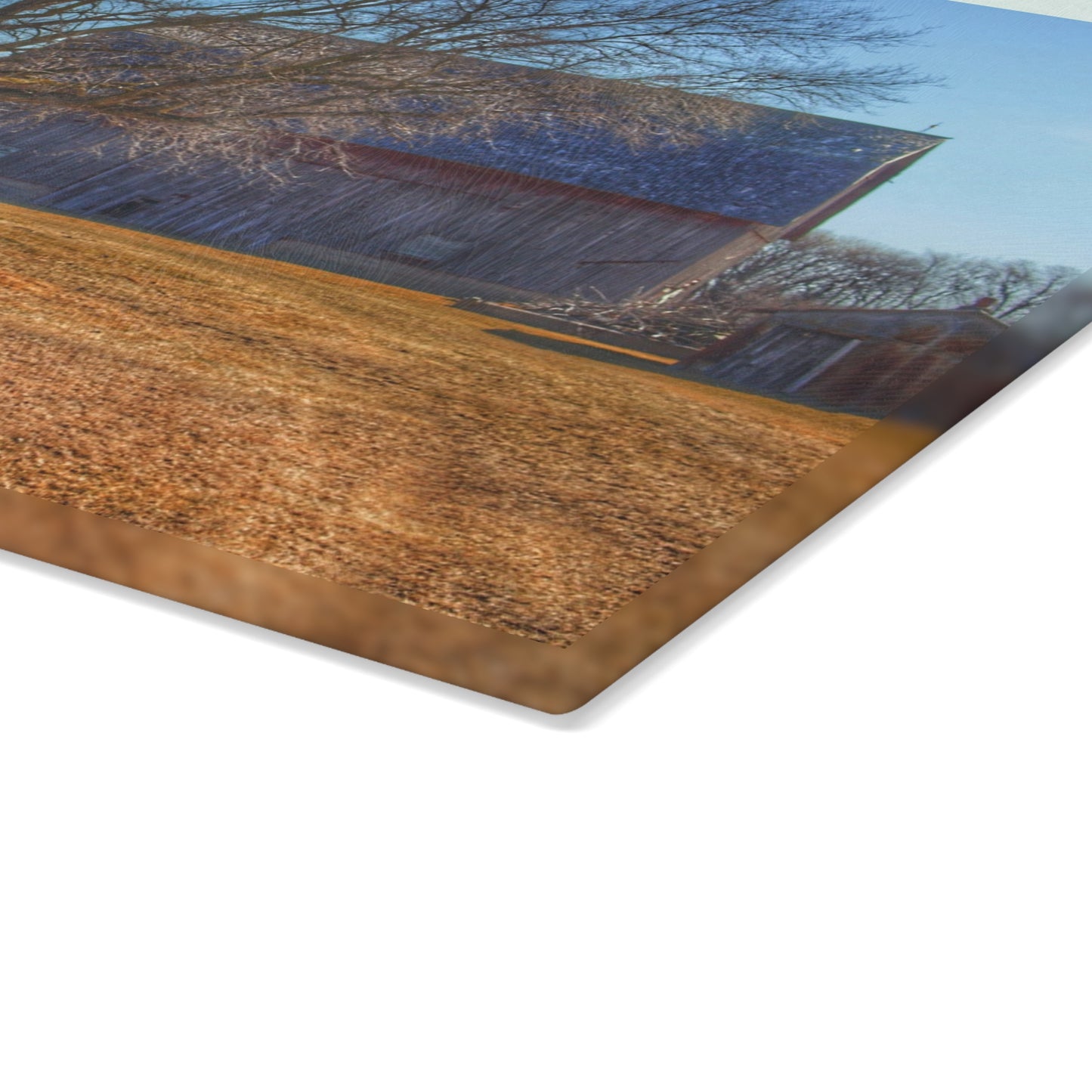U R There Photography South Elkton Road Forgotten Greys Rustic Farmhouse Tempered-Glass Cutting Board