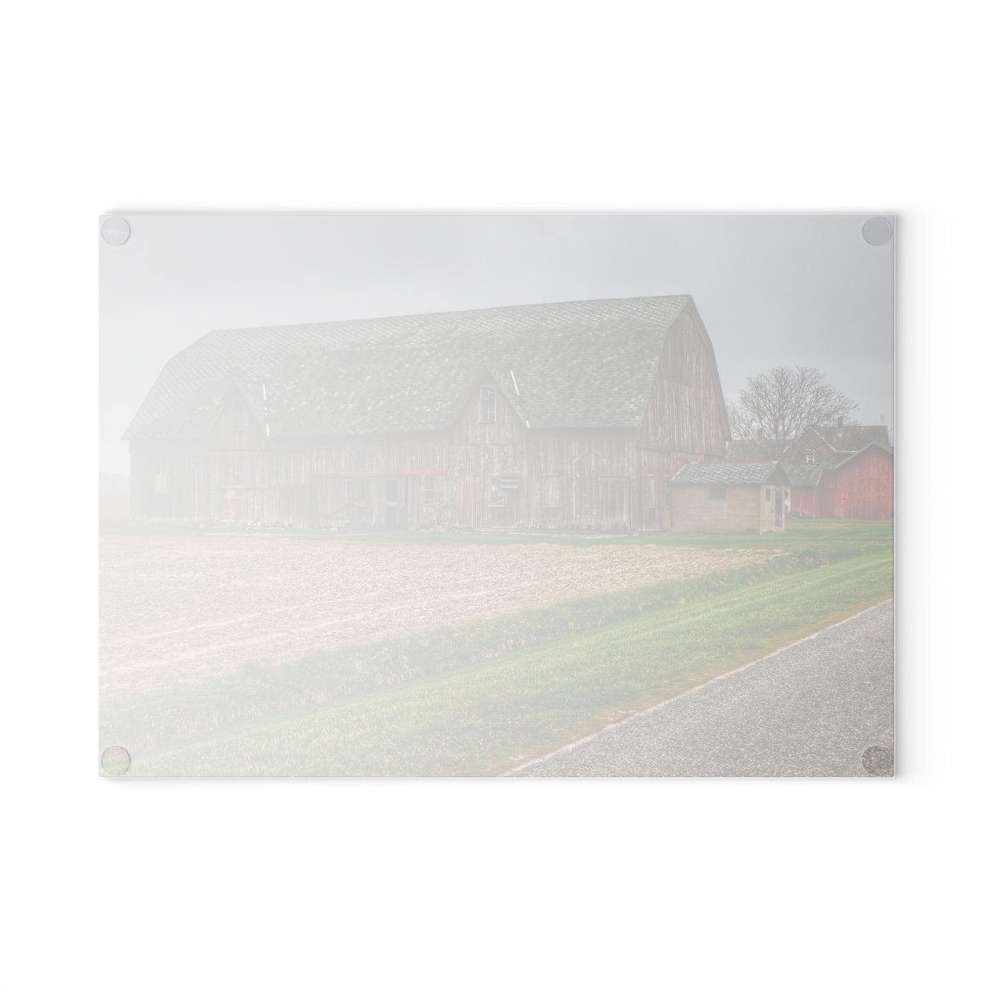 U R There Photography Roedel Roadside Reds I Rustic Farmhouse Tempered-Glass Cutting Board