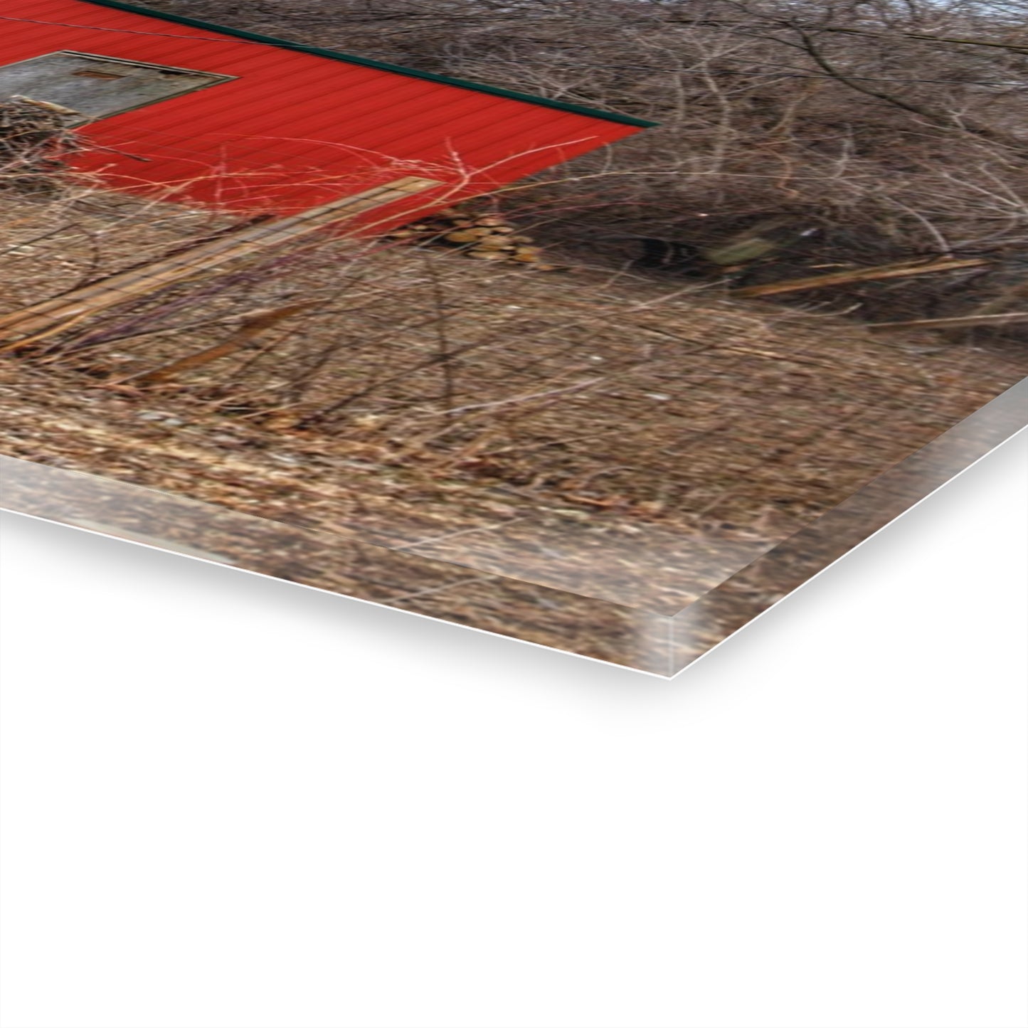 U R There Photography Bray Road Hidden Barnyard Red I Rustic Farmhouse Acrylic Wall Print