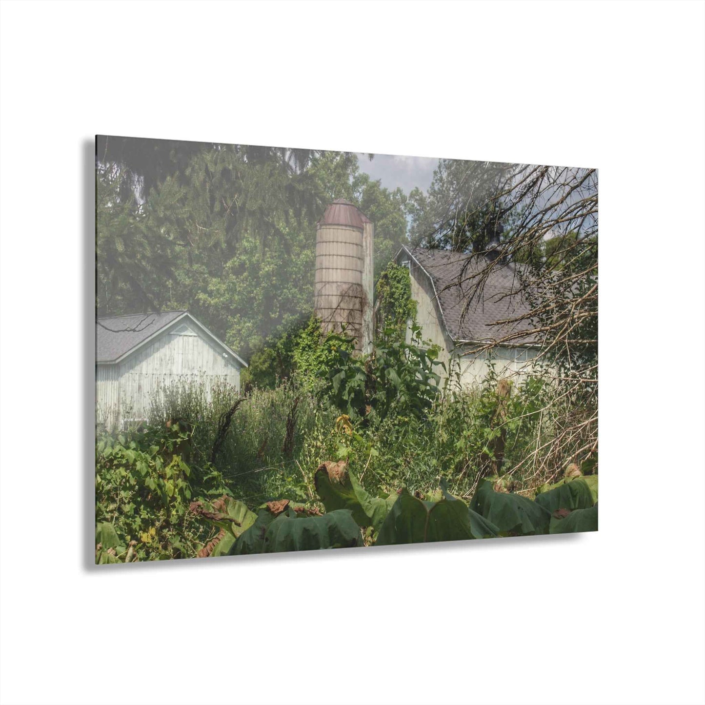 U R There Photography Clark Road Hidden Rustic Farmhouse Acrylic Wall Print