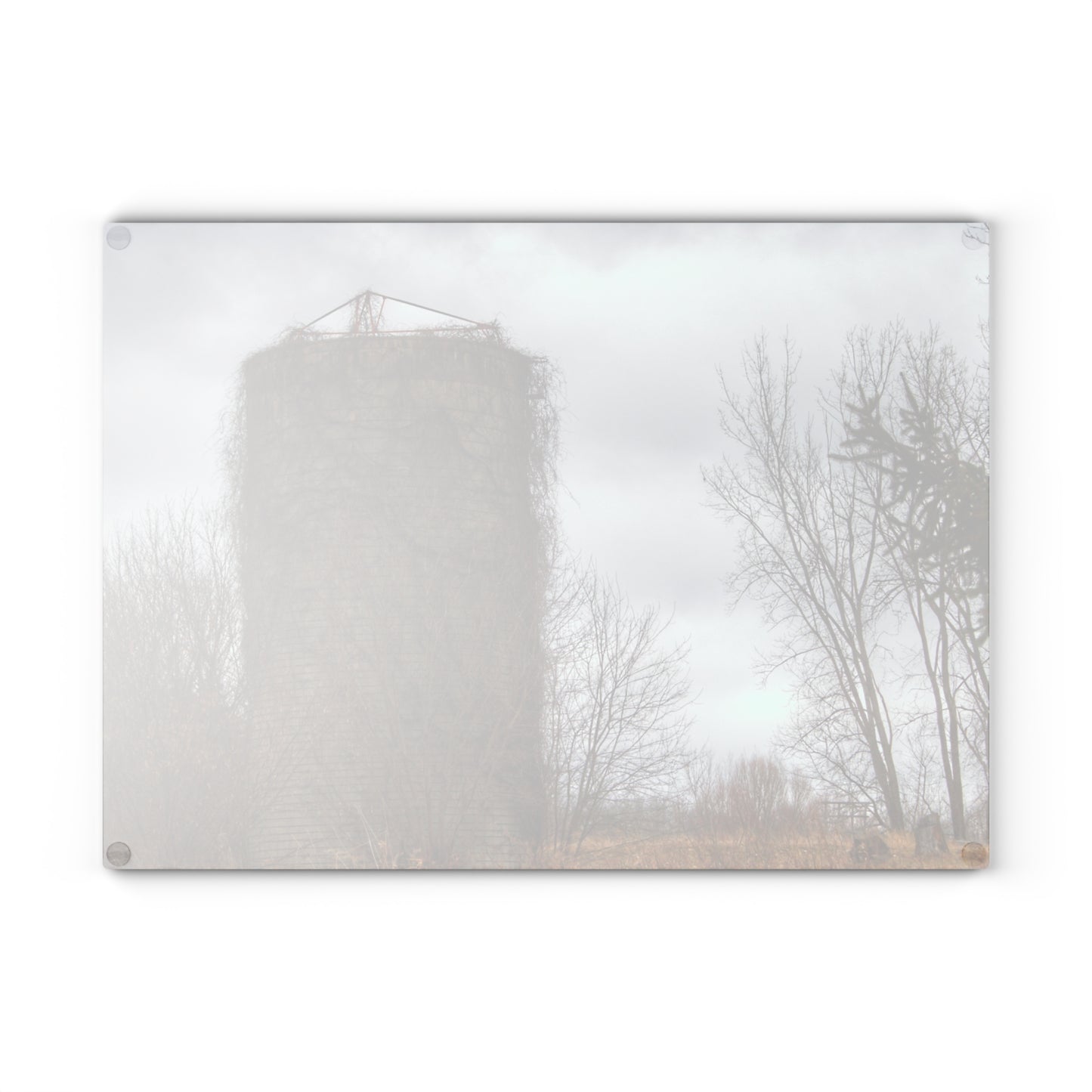 U R There Photography West Barnes Lake Silo Rustic Farmhouse Tempered-Glass Cutting Board