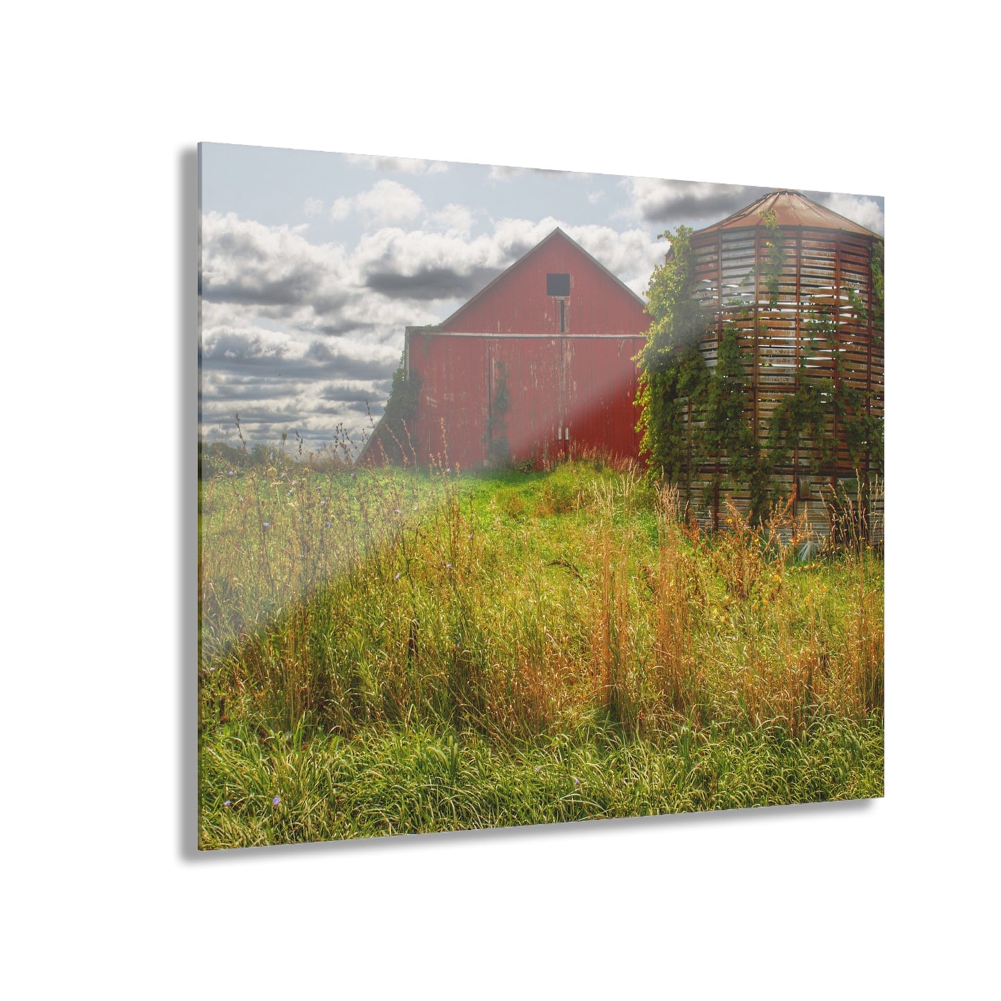 U R There Photography Roadside Relics Rustic Farmhouse Acrylic Wall Print