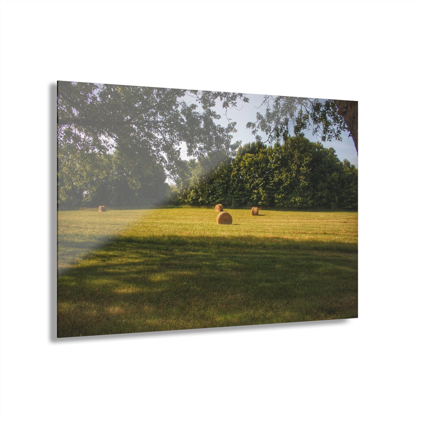 U R There Photography Summer Haybales I Rustic Farmhouse Acrylic Wall Print
