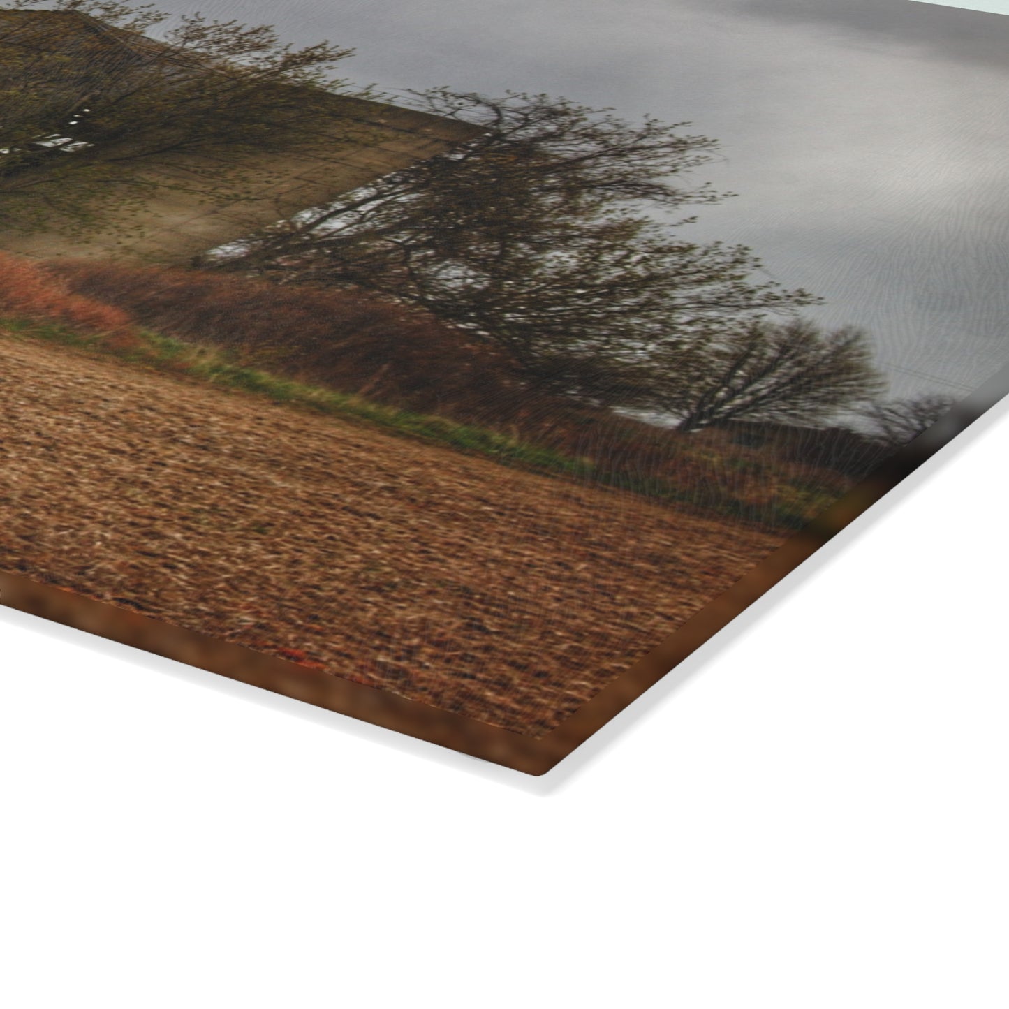 U R There Photography West Snover Grey Rustic Farmhouse Tempered-Glass Cutting Board