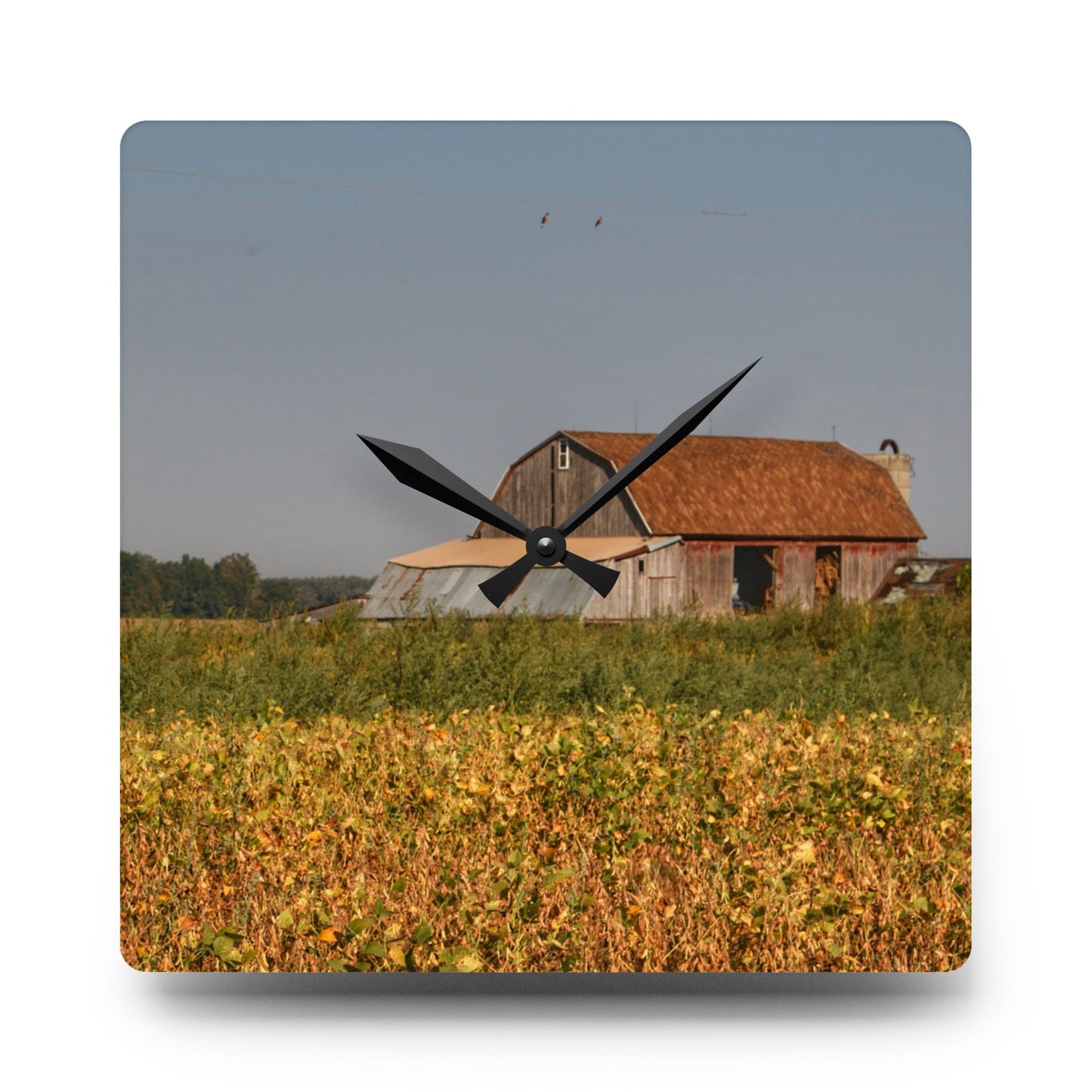 U R There Photography Slattery Road Saltbox Grey Rustic Farmhouse Acrylic Analog Wall Clock