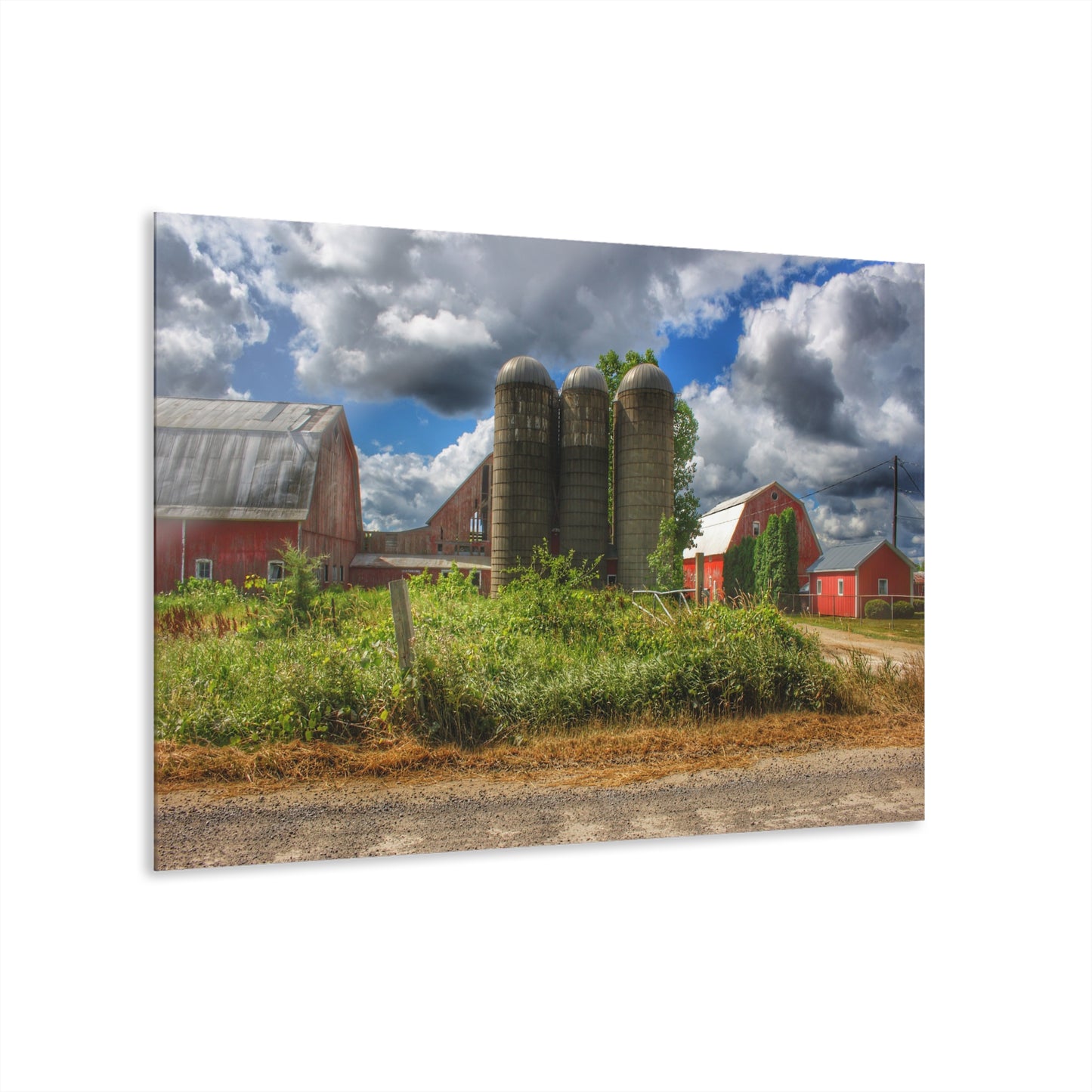 U R There Photography Shelby Red II Rustic Farmhouse Acrylic Wall Print