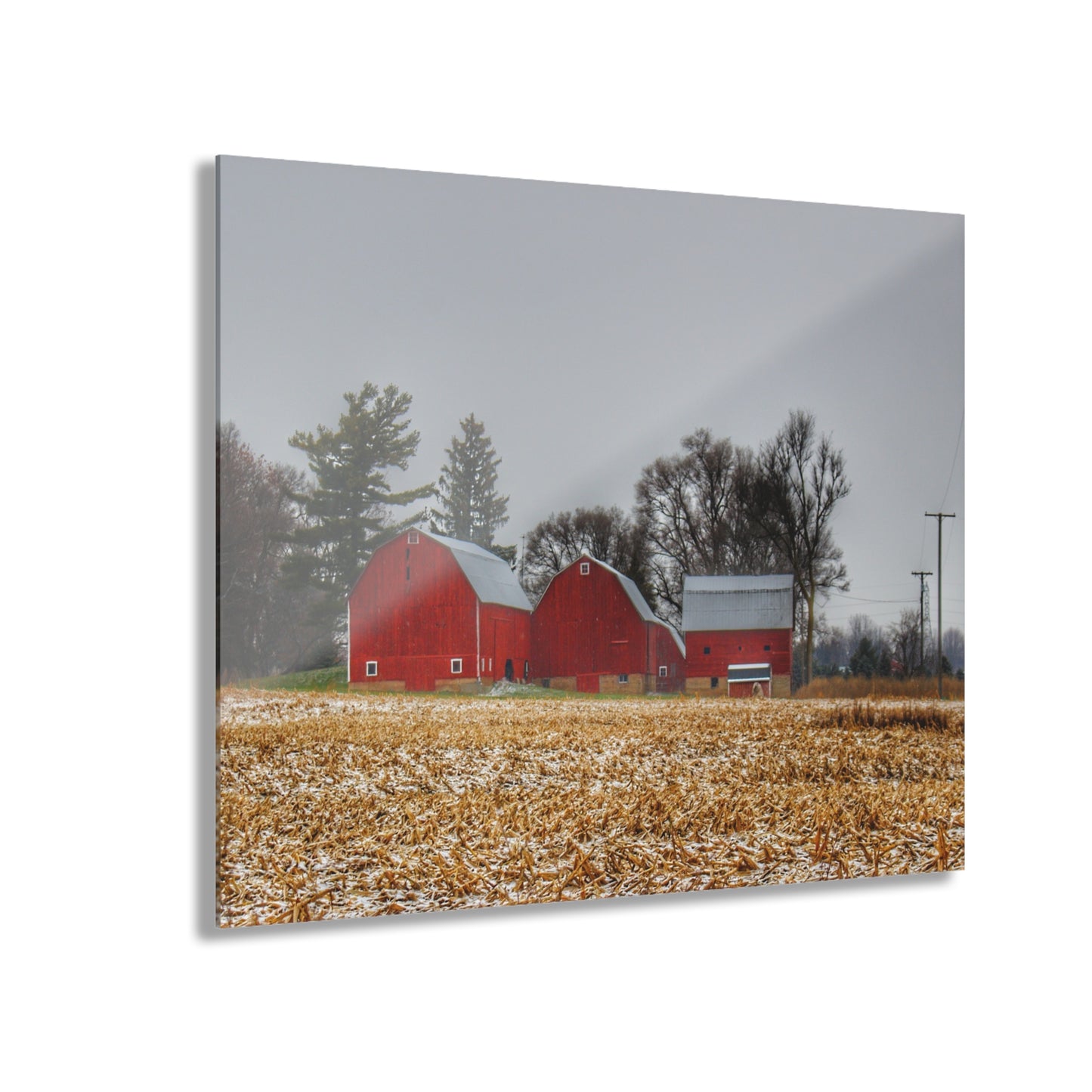 U R There Photography Shoemaker Road Winter Reds II Rustic Farmhouse Acrylic Wall Print