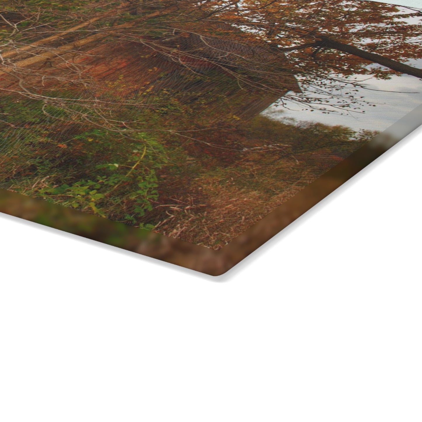 U R There Photography Annie's Barn III Rustic Farmhouse Tempered-Glass Cutting Board
