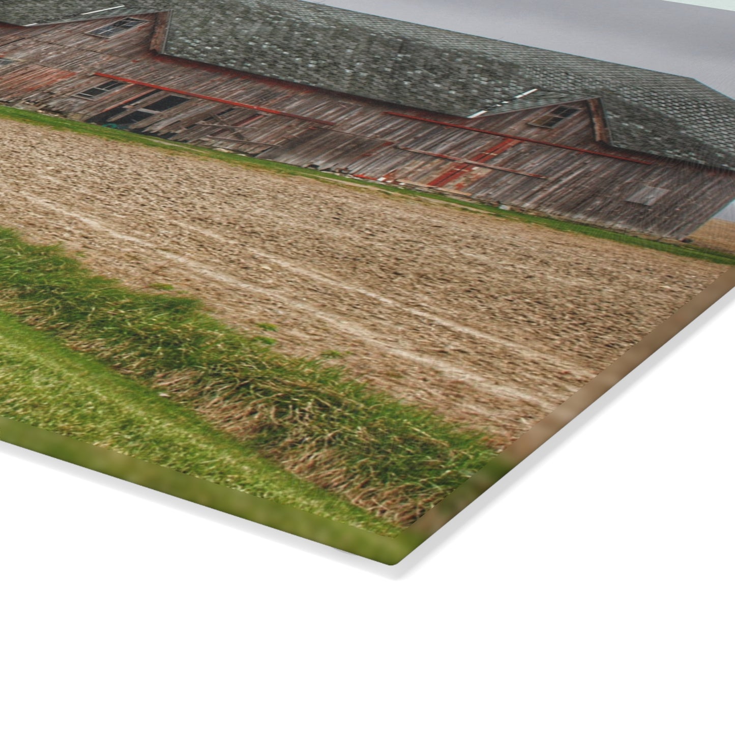 U R There Photography Roedel Roadside Reds I Rustic Farmhouse Tempered-Glass Cutting Board