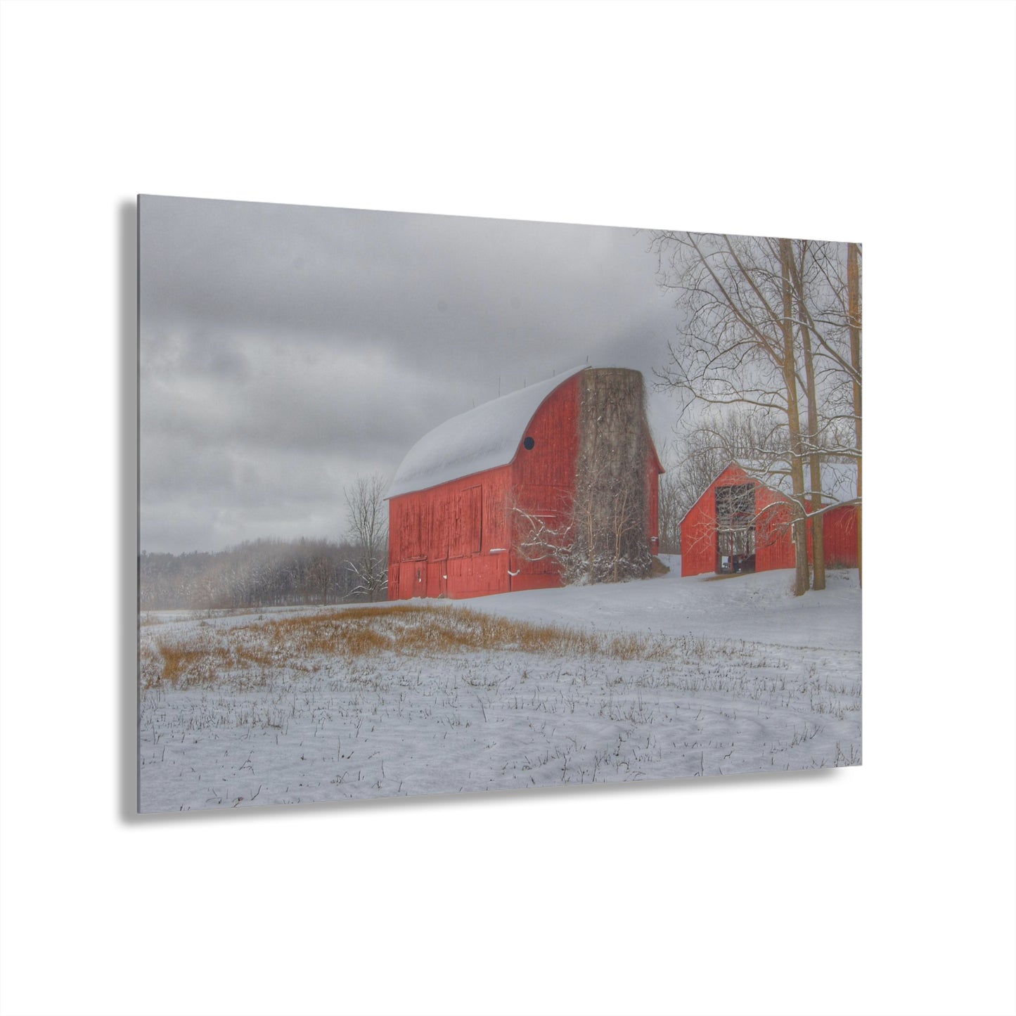 U R There Photography Catlin Reds in Winter II Rustic Farmhouse Acrylic Wall Print