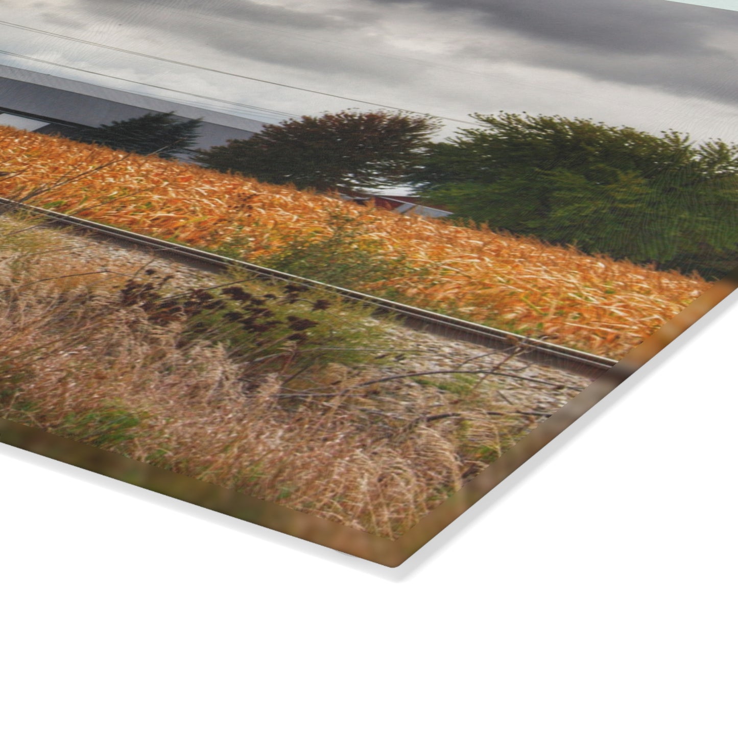 U R There Photography Reese Old Grey Beyond the Tracks Rustic Farmhouse Tempered-Glass Cutting Board