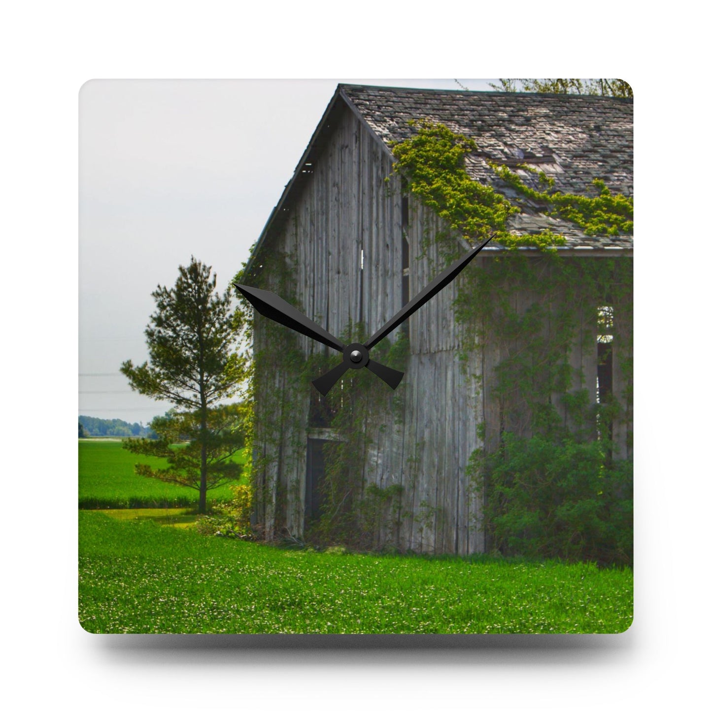 U R There Photography Caro Road Twin Grey II Rustic Farmhouse Acrylic Analog Wall Clock