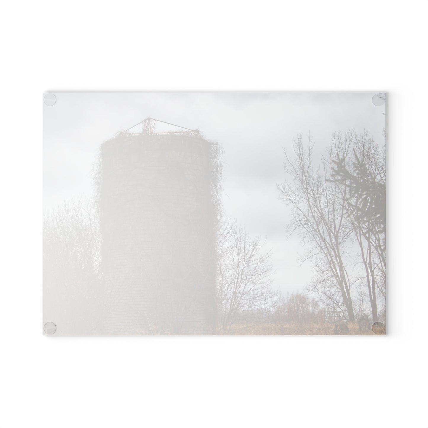 U R There Photography West Barnes Lake Silo Rustic Farmhouse Tempered-Glass Cutting Board