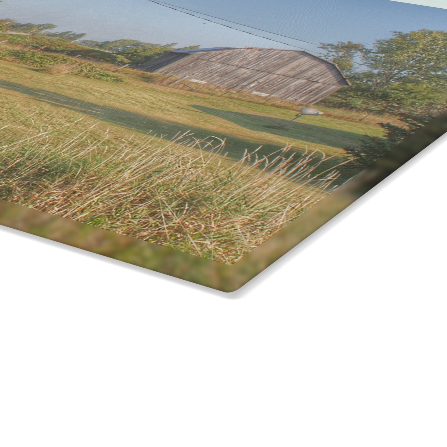U R There Photography Snover Grey II Rustic Farmhouse Tempered-Glass Cutting Board