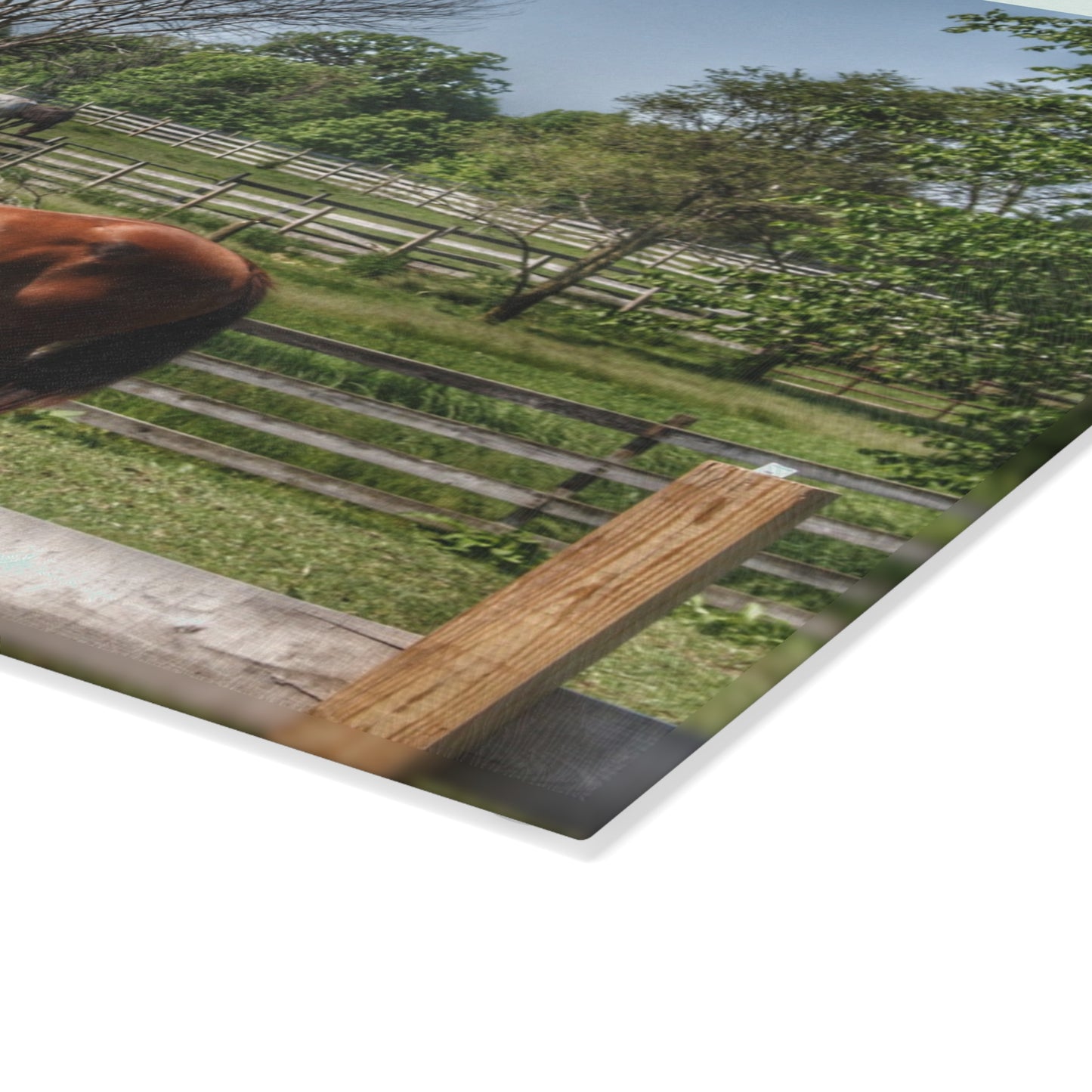U R There Photography Summer Road Ponies Rustic Farmhouse Tempered-Glass Cutting Board