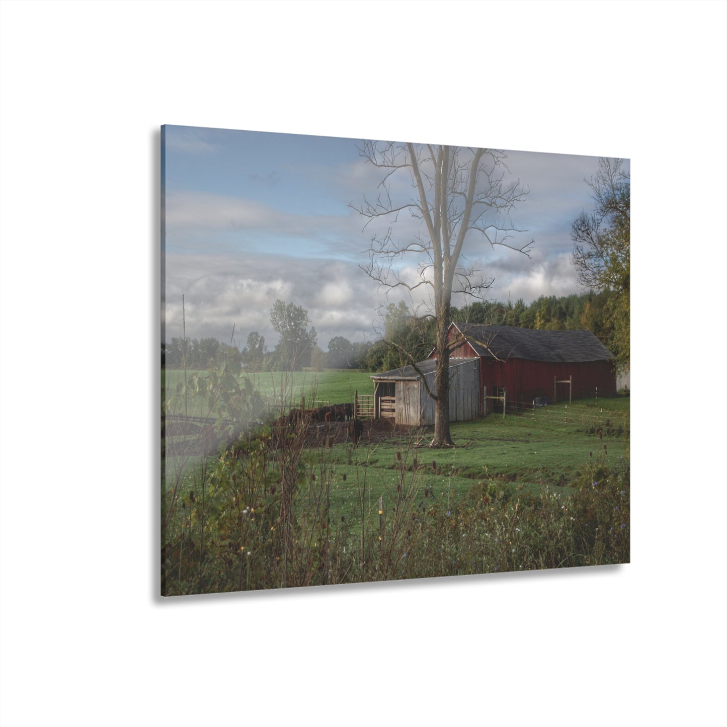 U R There Photography West Oregon Road Hidden Red IV Rustic Farmhouse Acrylic Wall Print