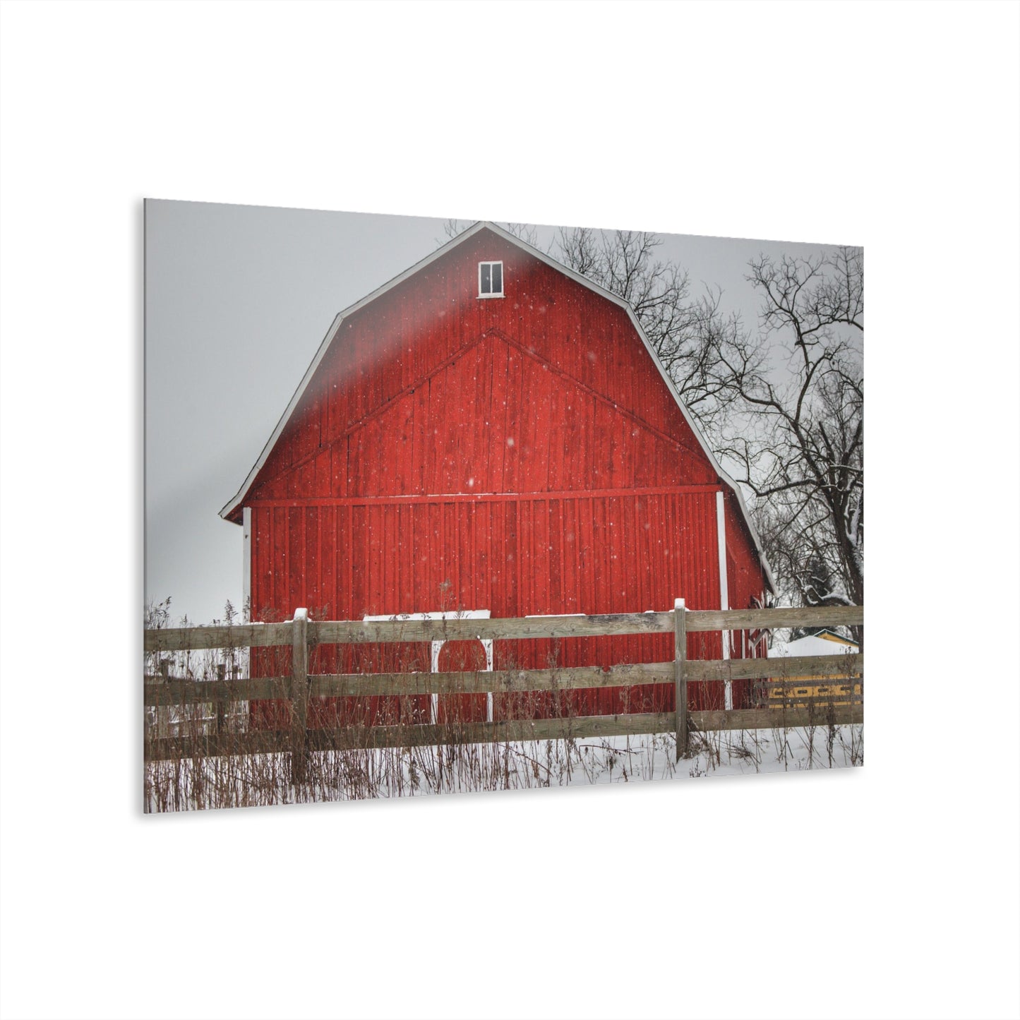 U R There Photography Big Red Beyond the Fence Rustic Farmhouse Acrylic Wall Print