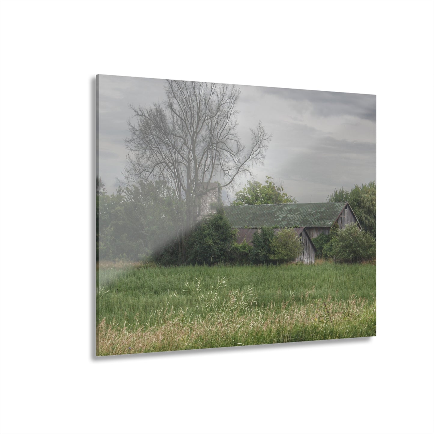 U R There Photography Wilder Road Grey III Rustic Farmhouse Acrylic Wall Print