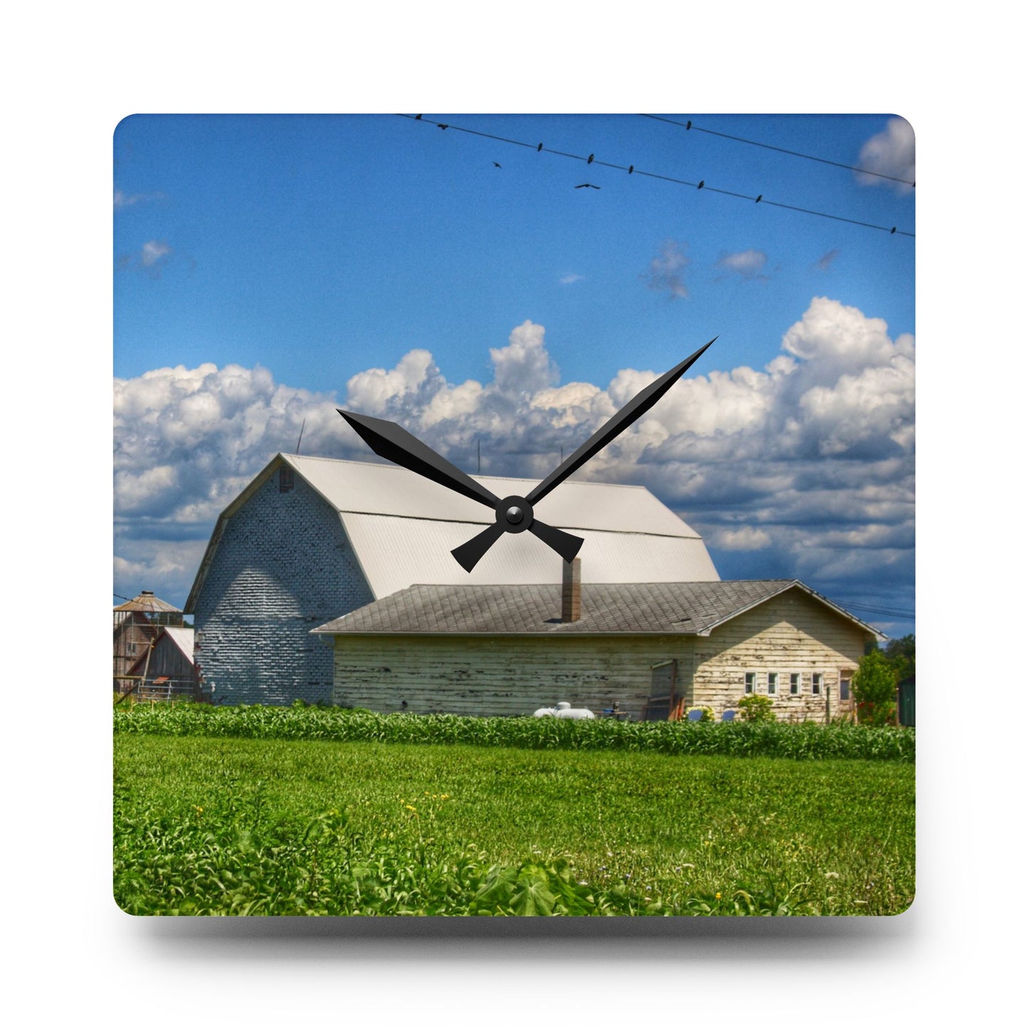 U R There Photography Lake Road Whites Rustic Farmhouse Acrylic Analog Wall Clock
