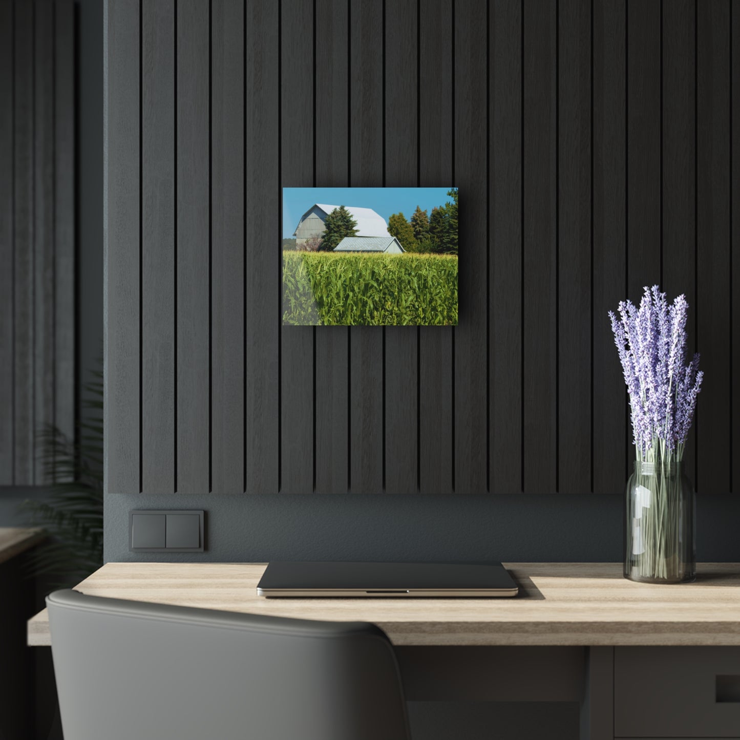 U R There Photography White Cornfield Barn Rustic Farmhouse Acrylic Wall Print